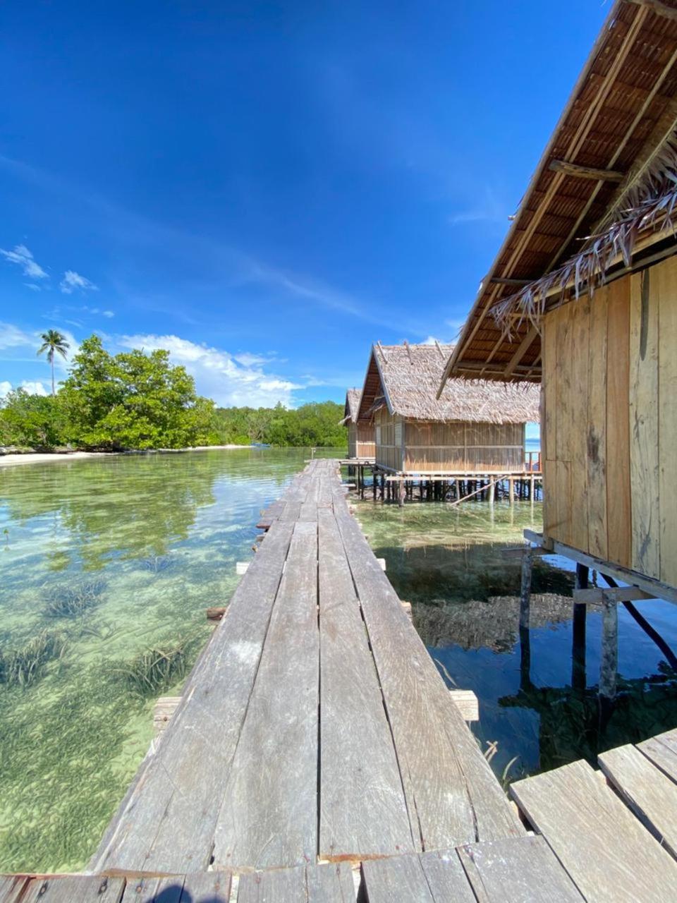 Senjahomestayrajaampat