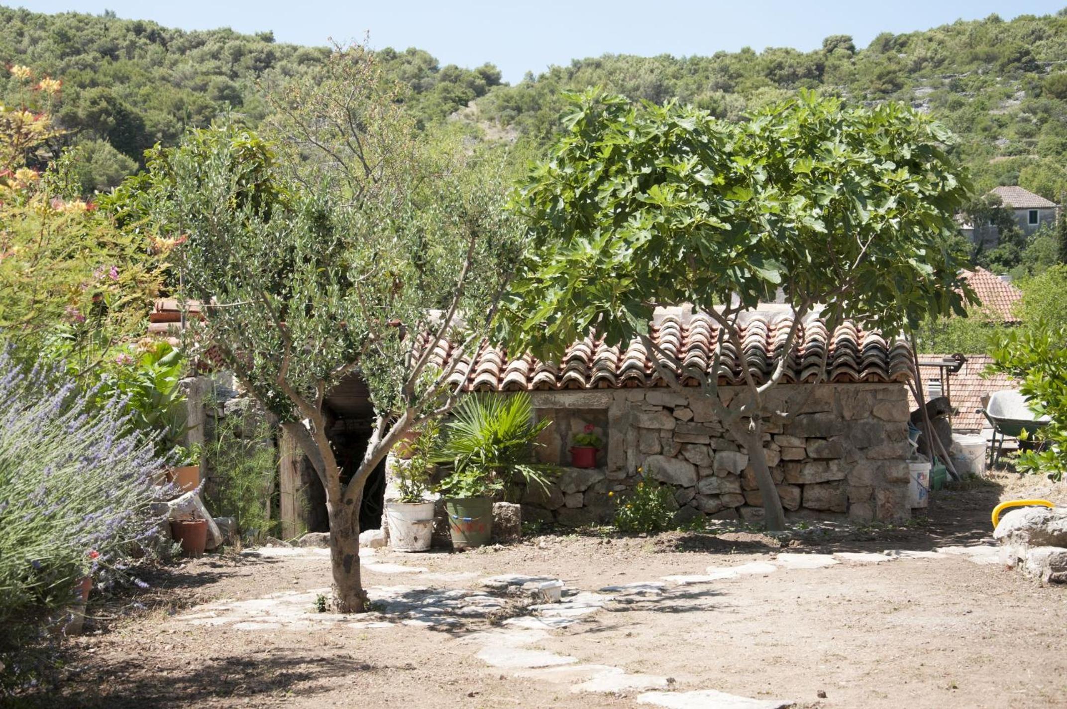 Photo 44
