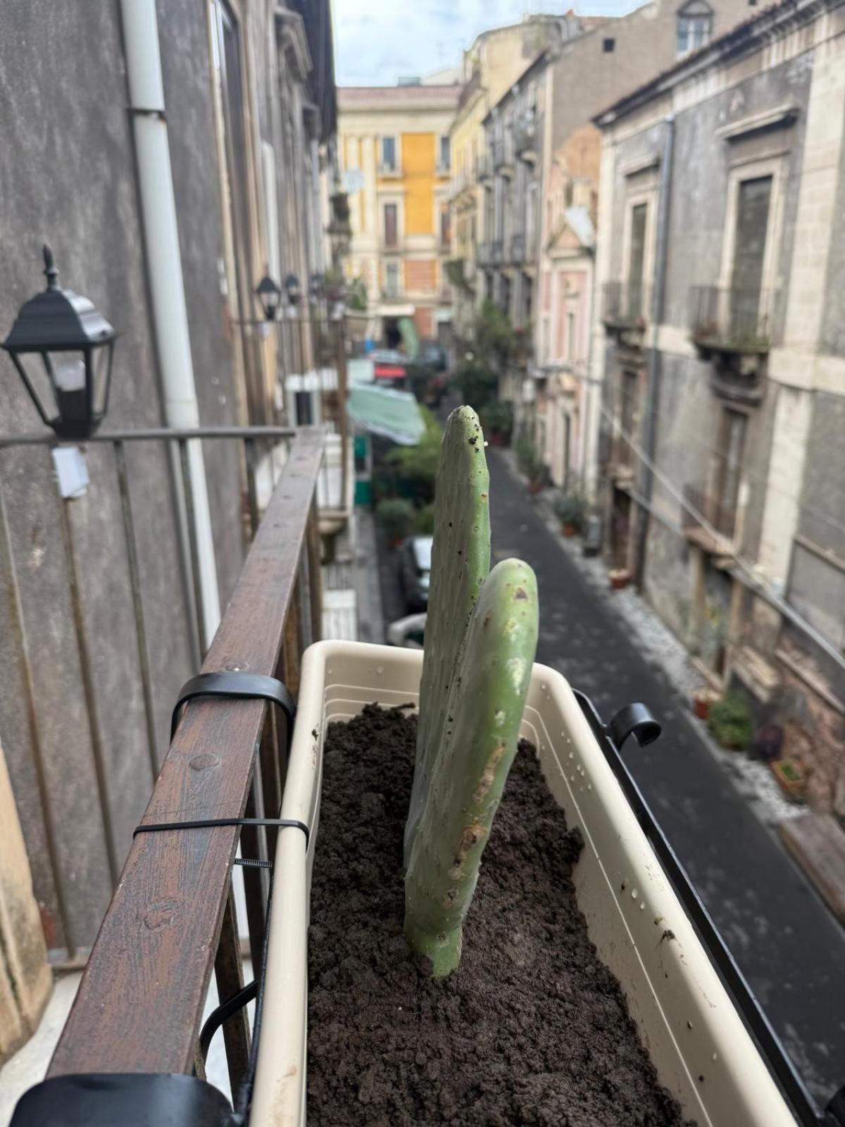 Antica Sicilia Rooms and Breakfast