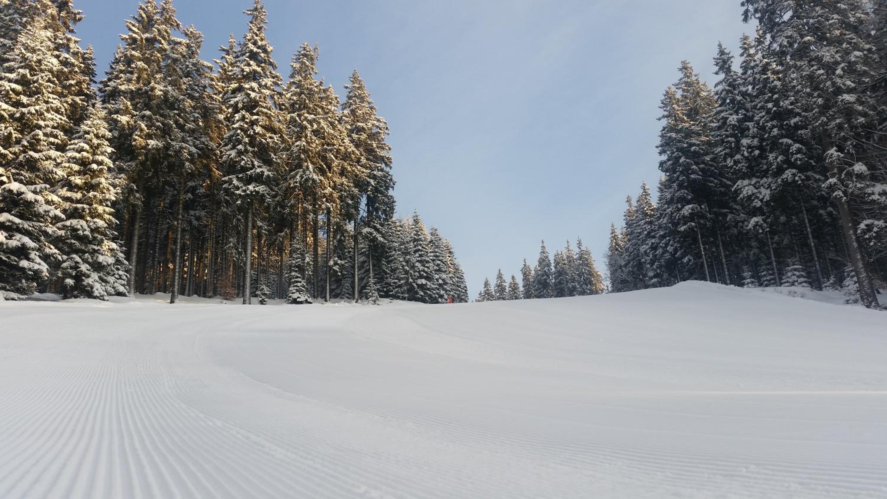 Penzion Alenka