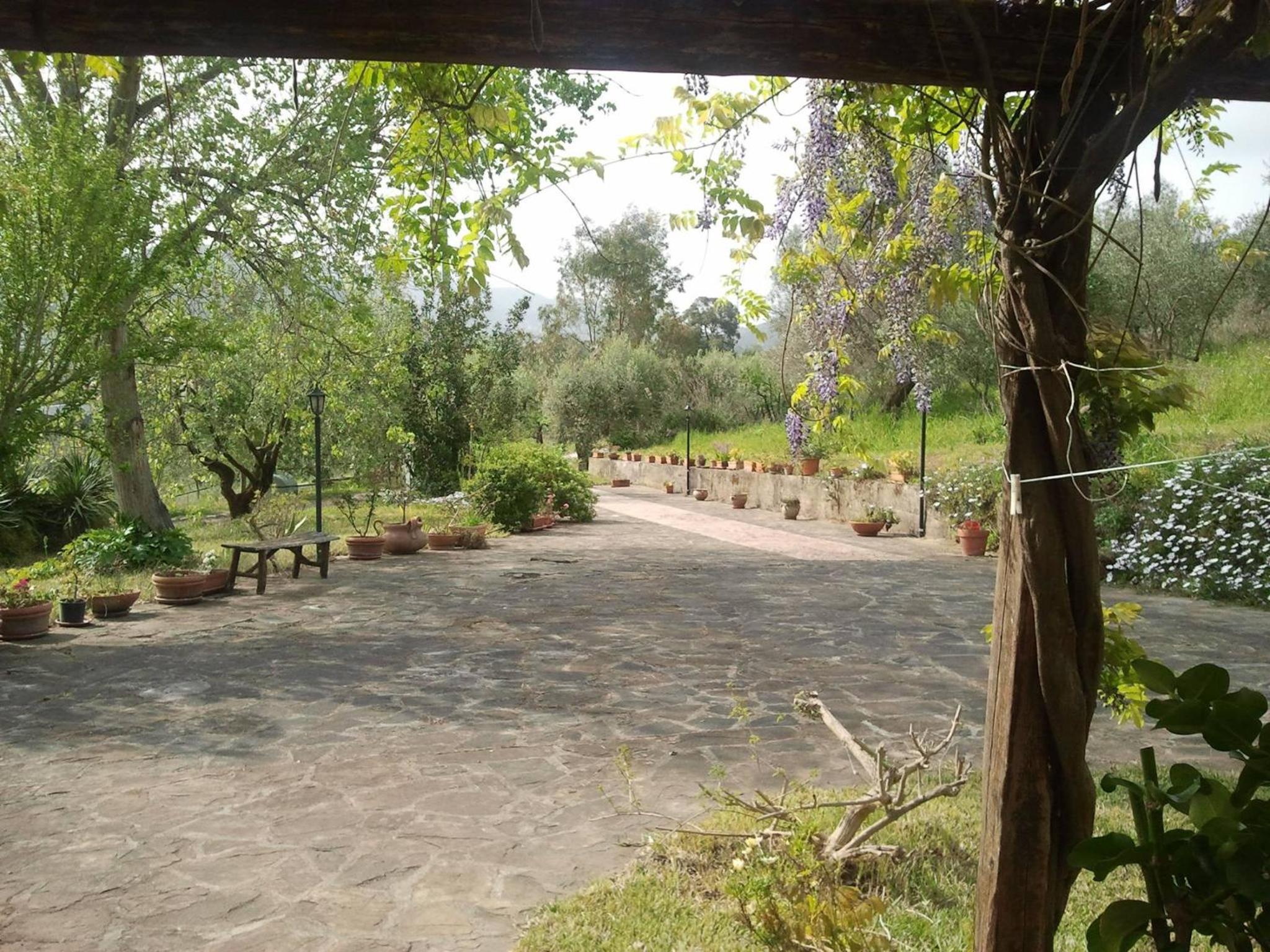 La Gabbianella e il Gatto photo 3