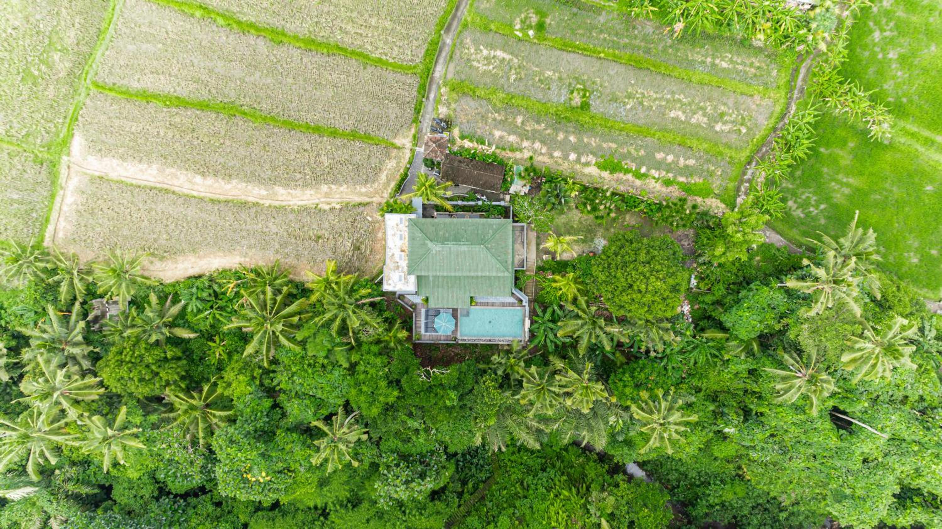 D'Gajah Villa Ubud