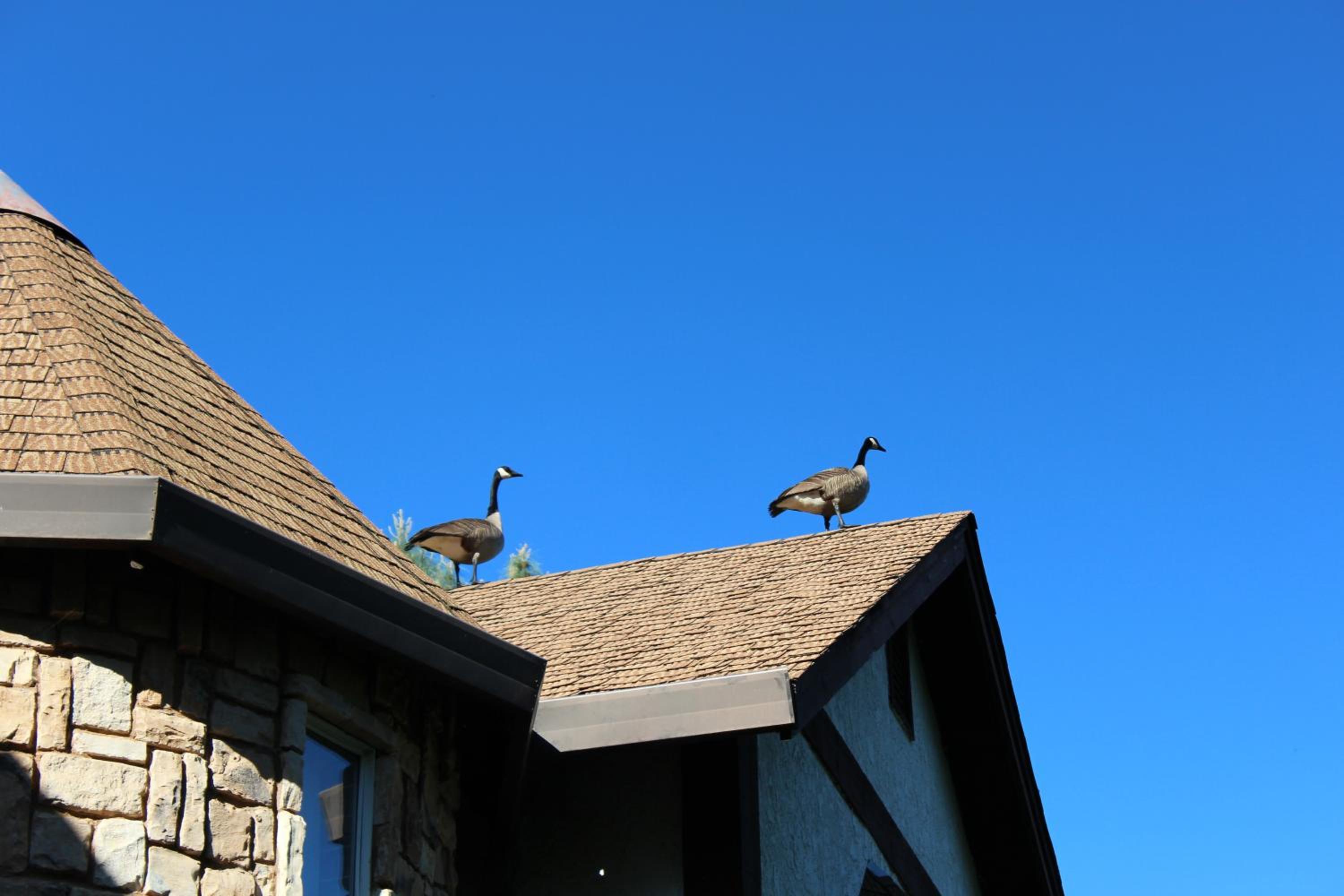 Redding Vacations - Hope Inn Redding - Property Image 12