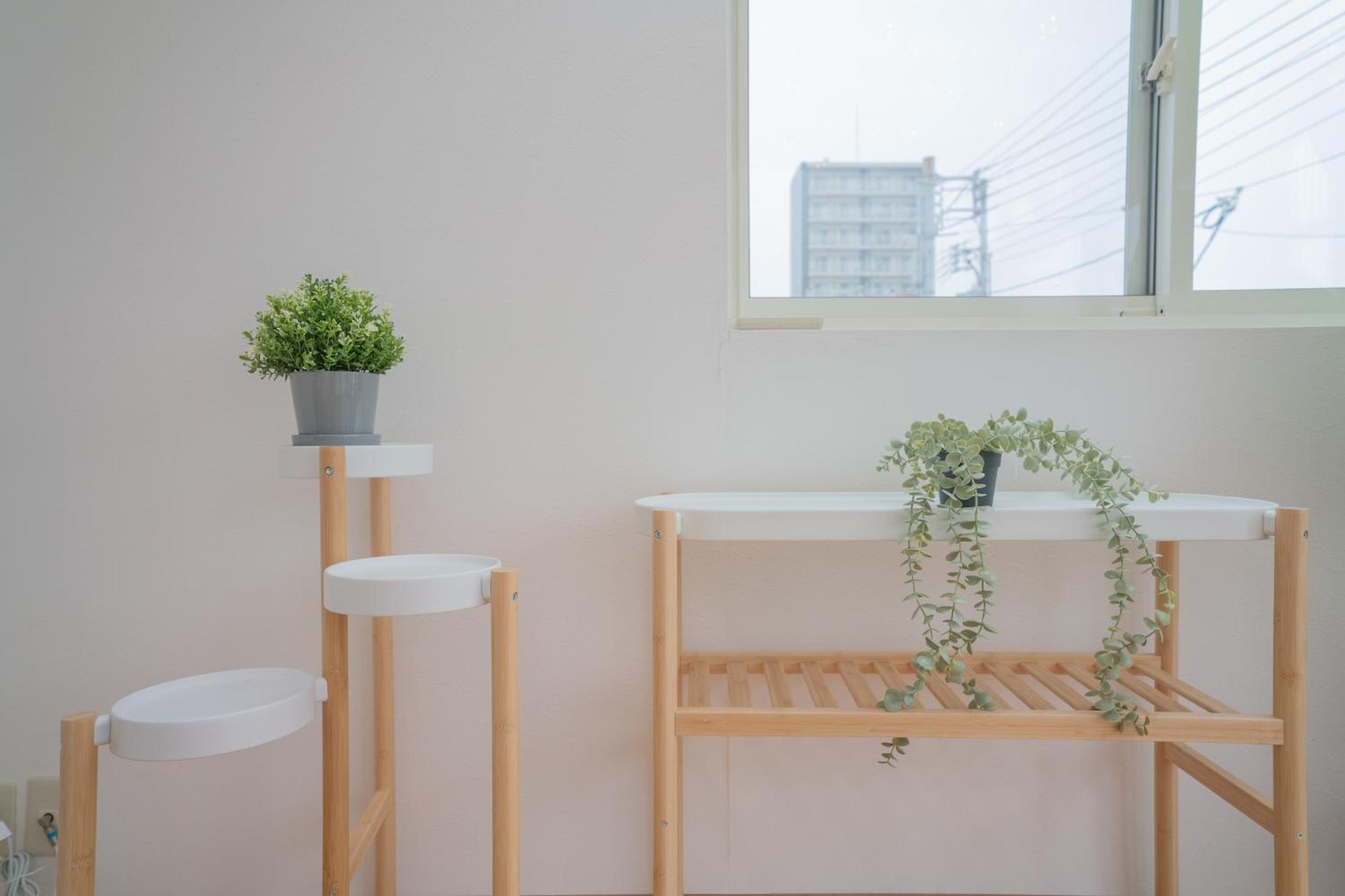 Green House 九条