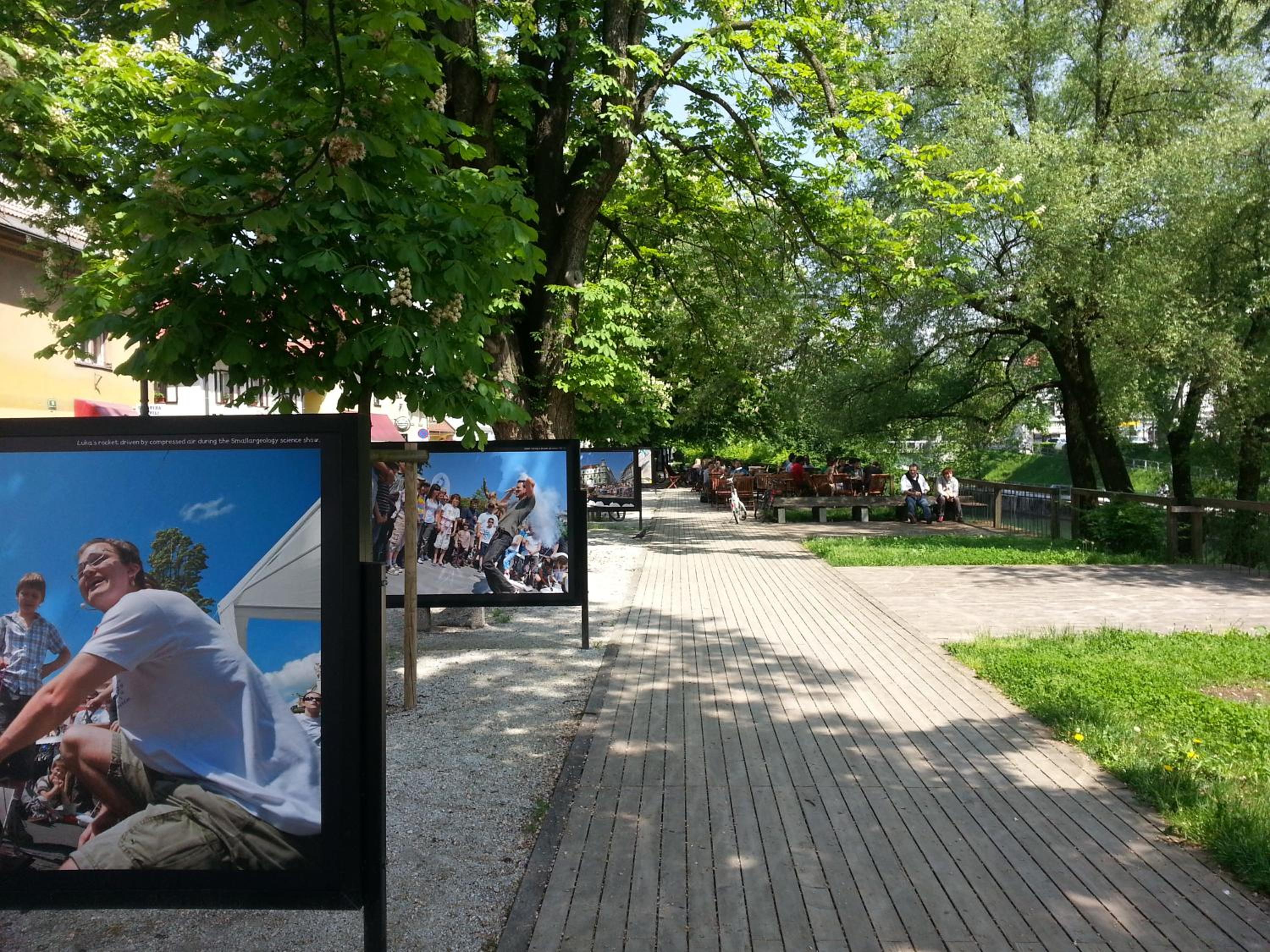 Photo 43