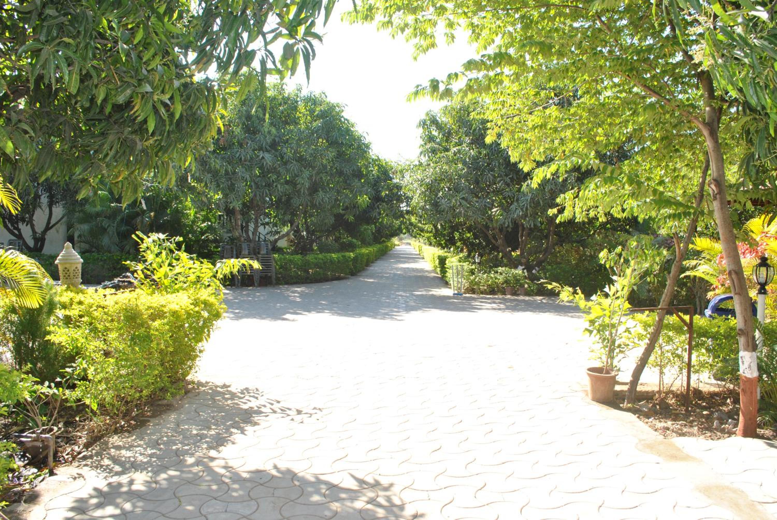 Gir Jungle Lodge