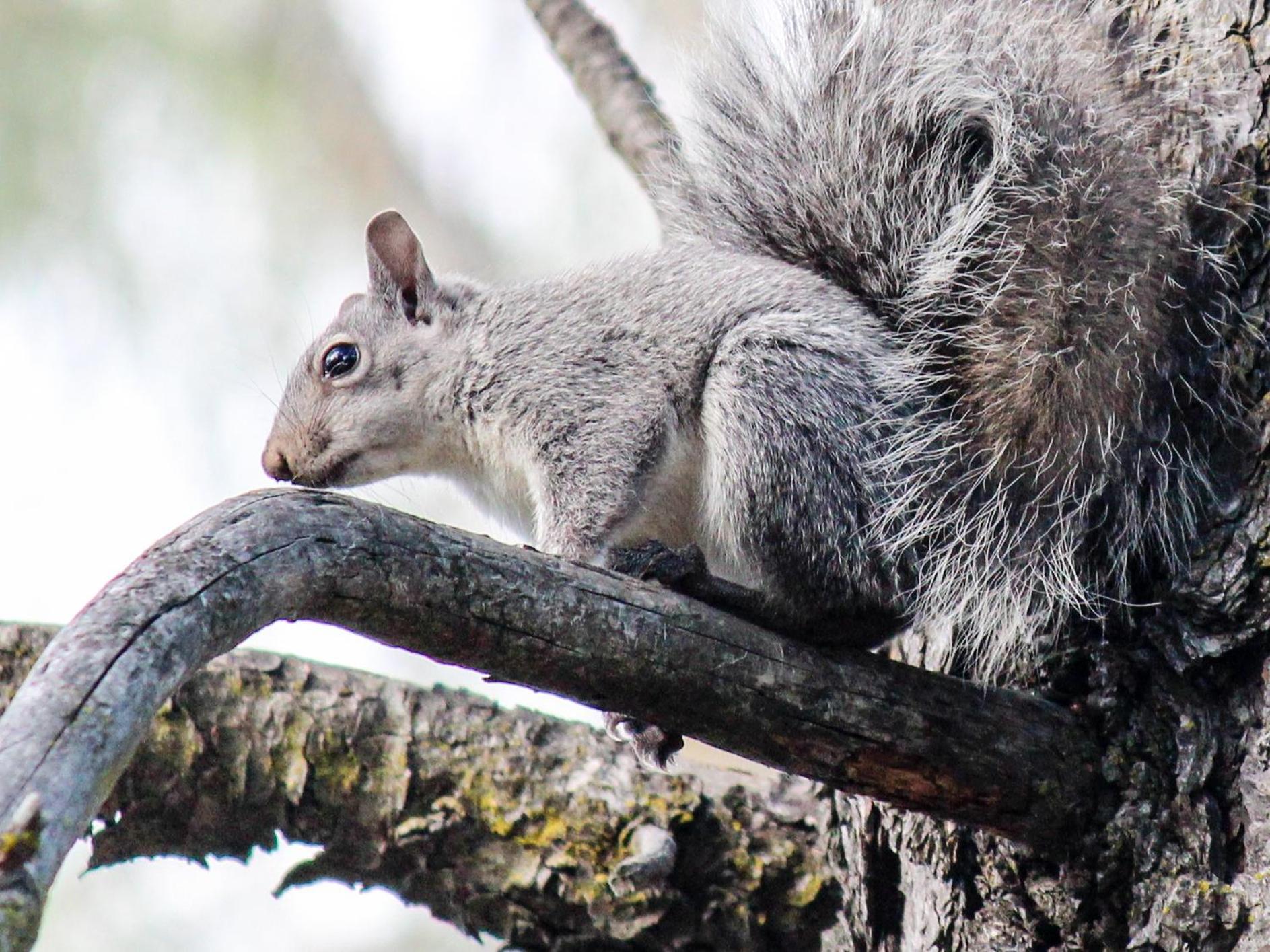 Redding Vacations - Hope Inn Redding - Property Image 13