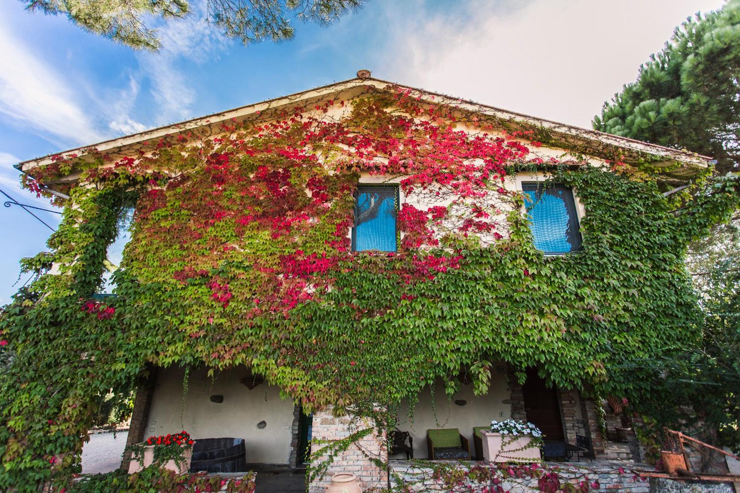 Pieve Del Castello