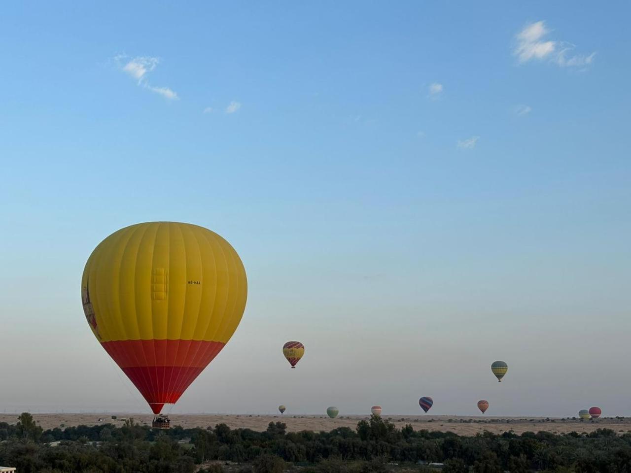 Al Damany Desert camp &Villa