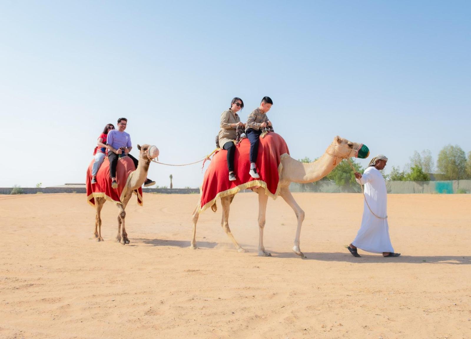 Al Damany Desert camp &Villa