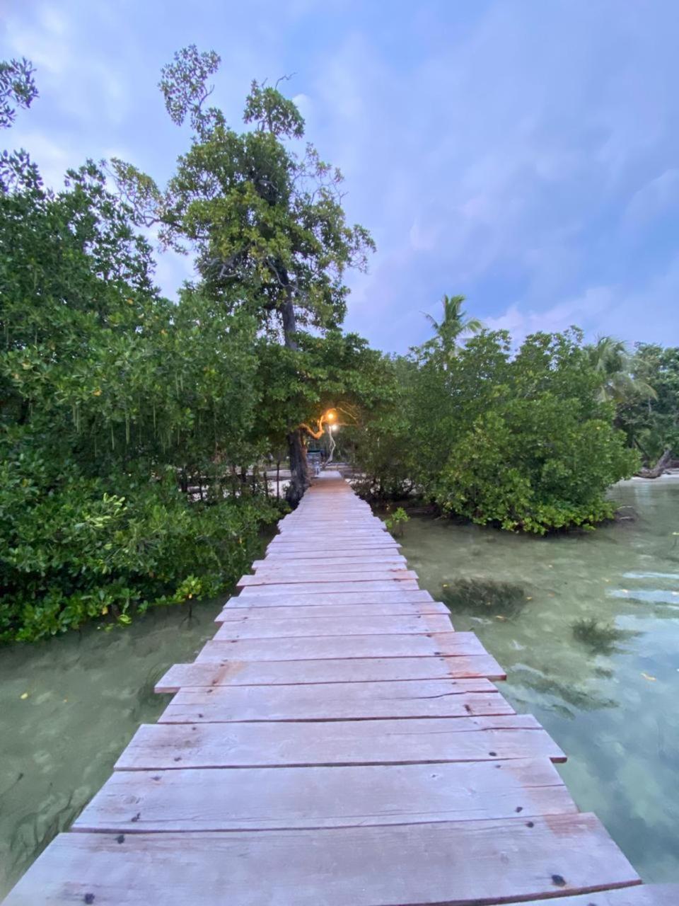 Senjahomestayrajaampat