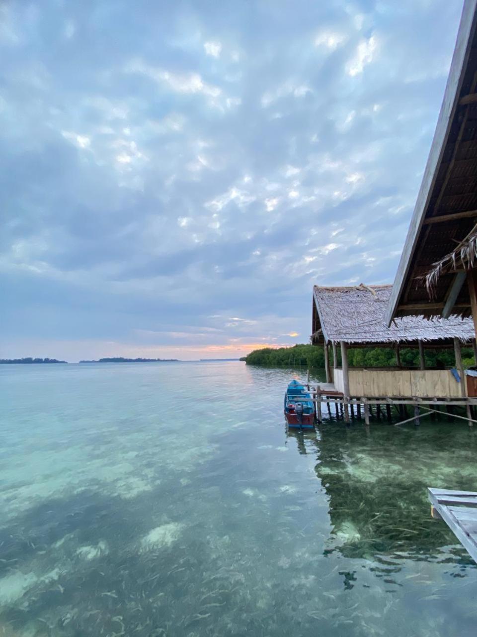 Senjahomestayrajaampat