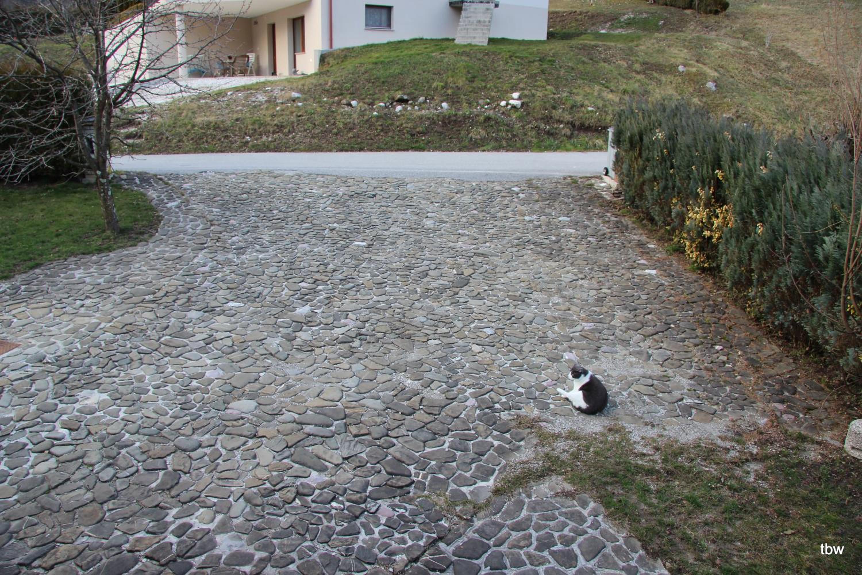Photo 29