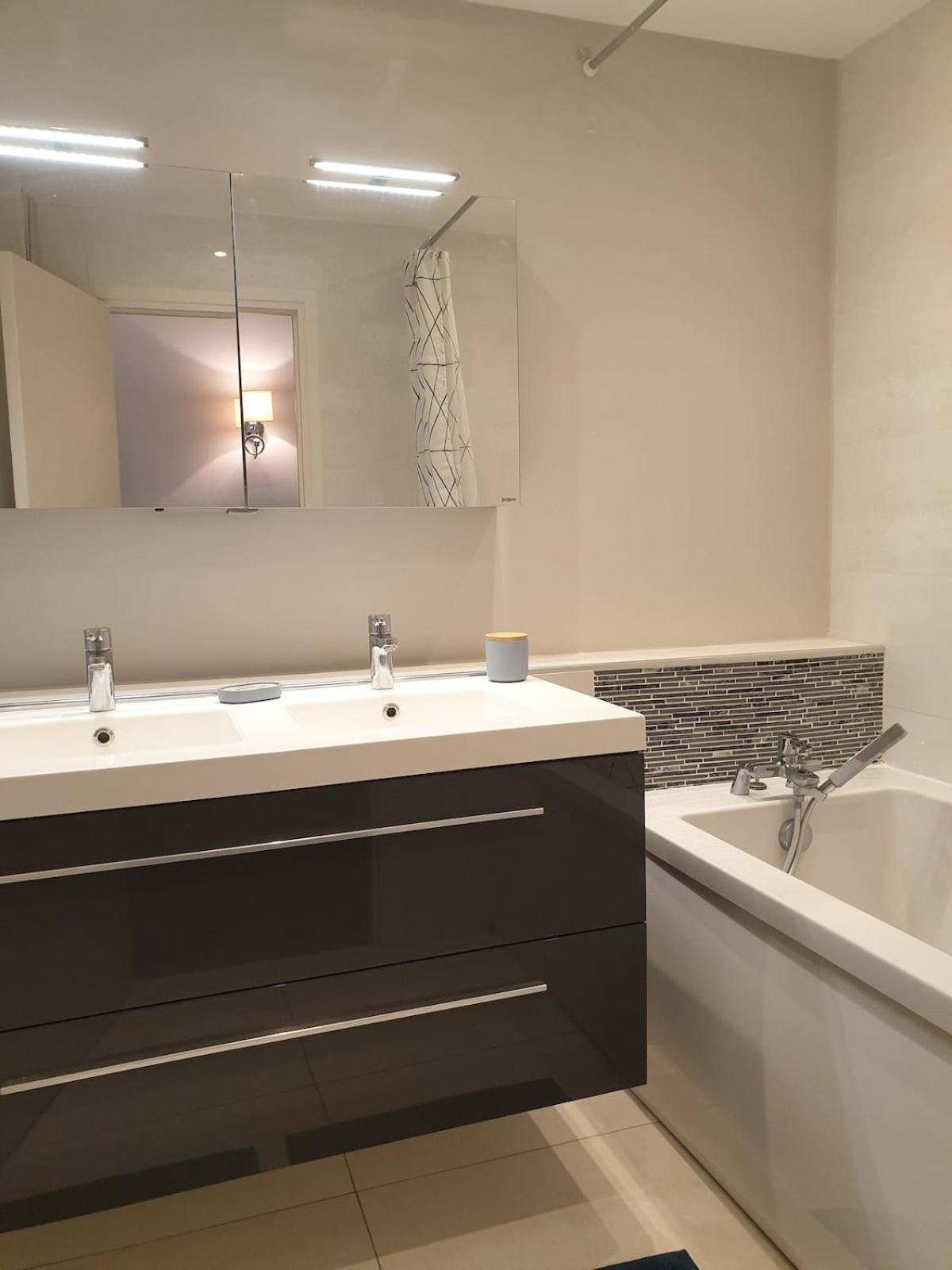 Appartement 115 m2 Garage Tram Lille St Maur