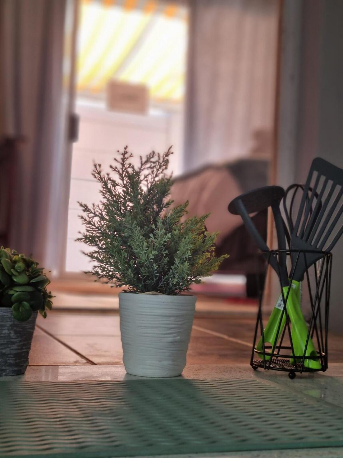 UITZICHT STAY Durbanville Pet Friendly