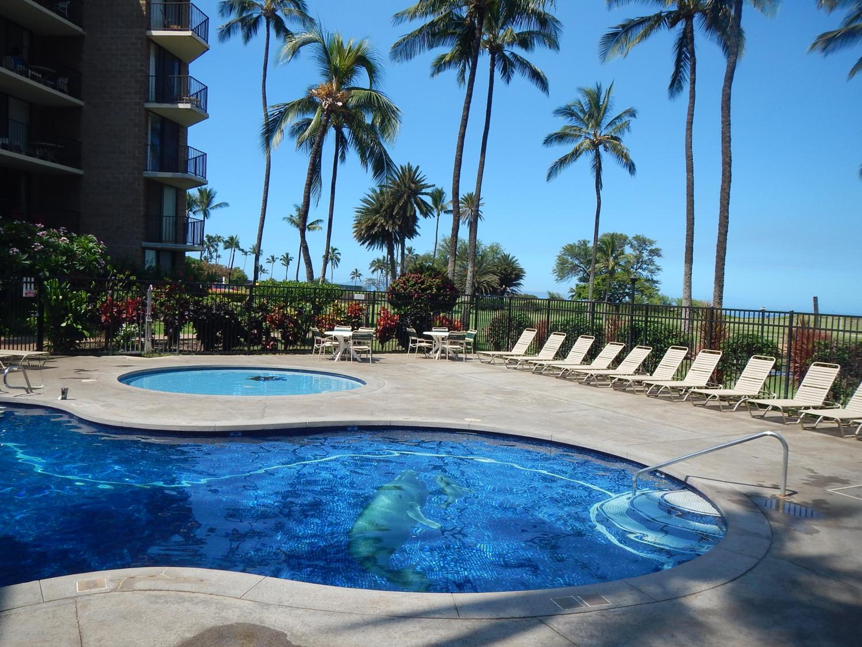 Kauhale Makai Condo on the Beach