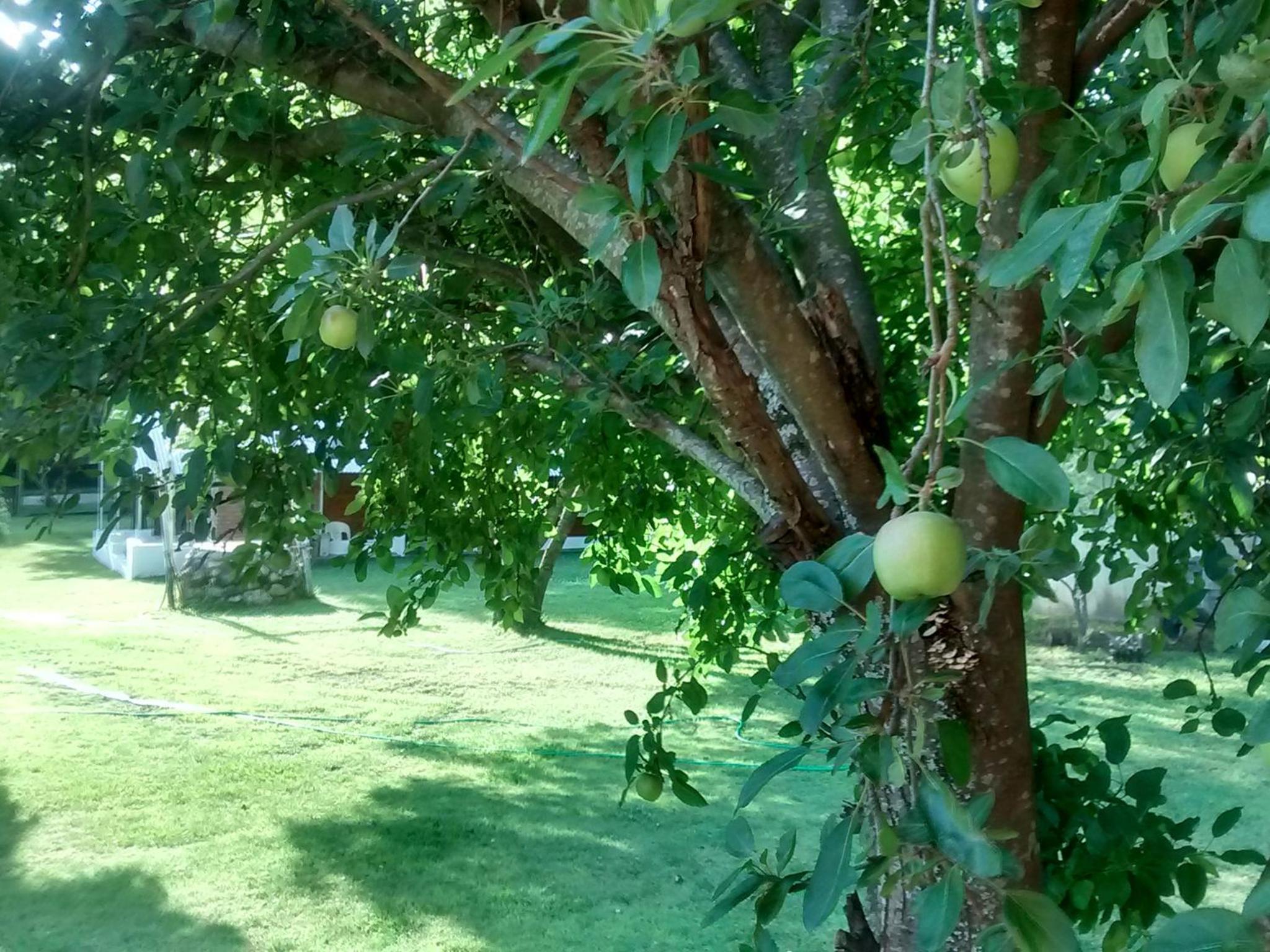 La Matilde