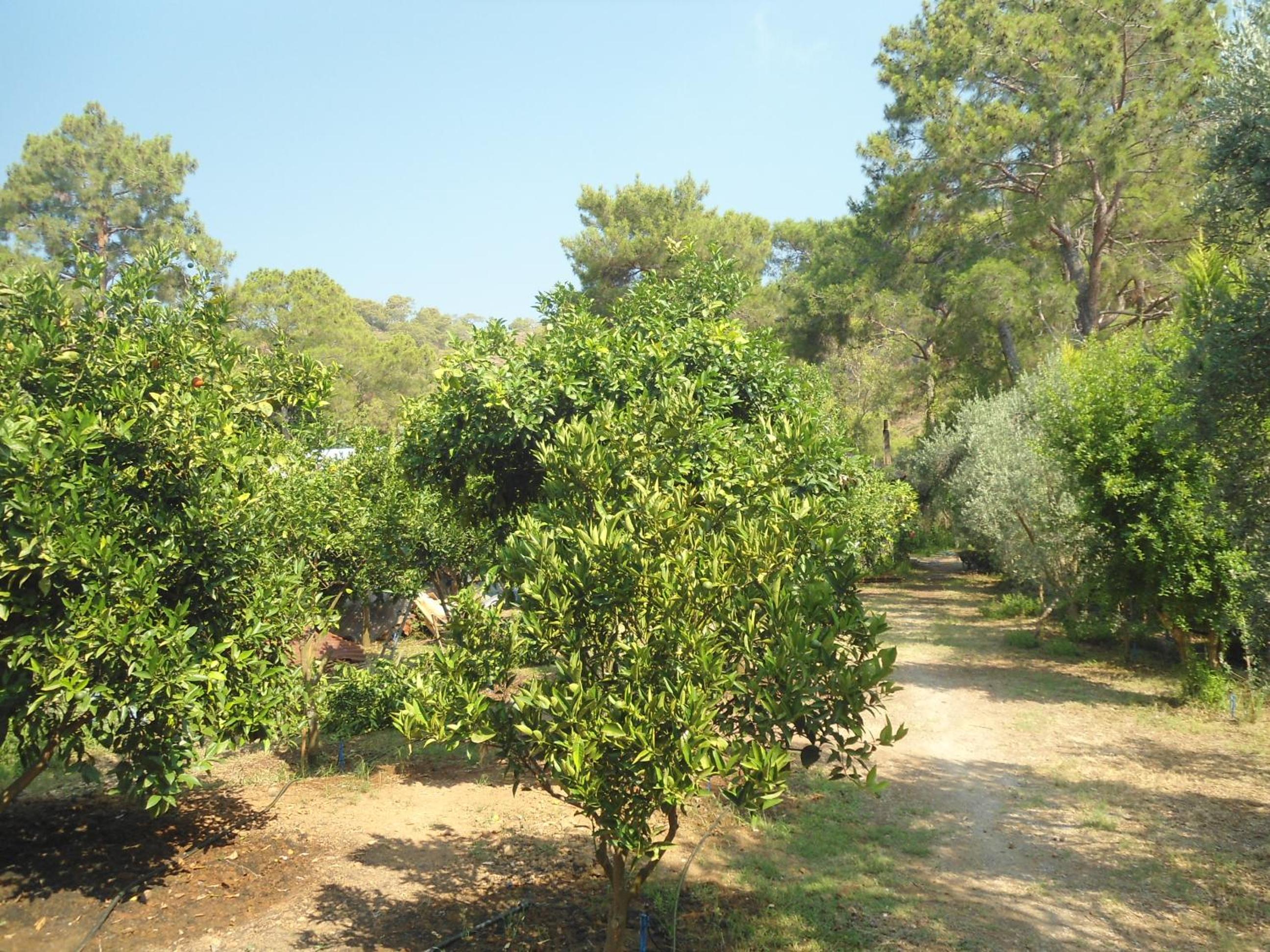 Bungalow Halil