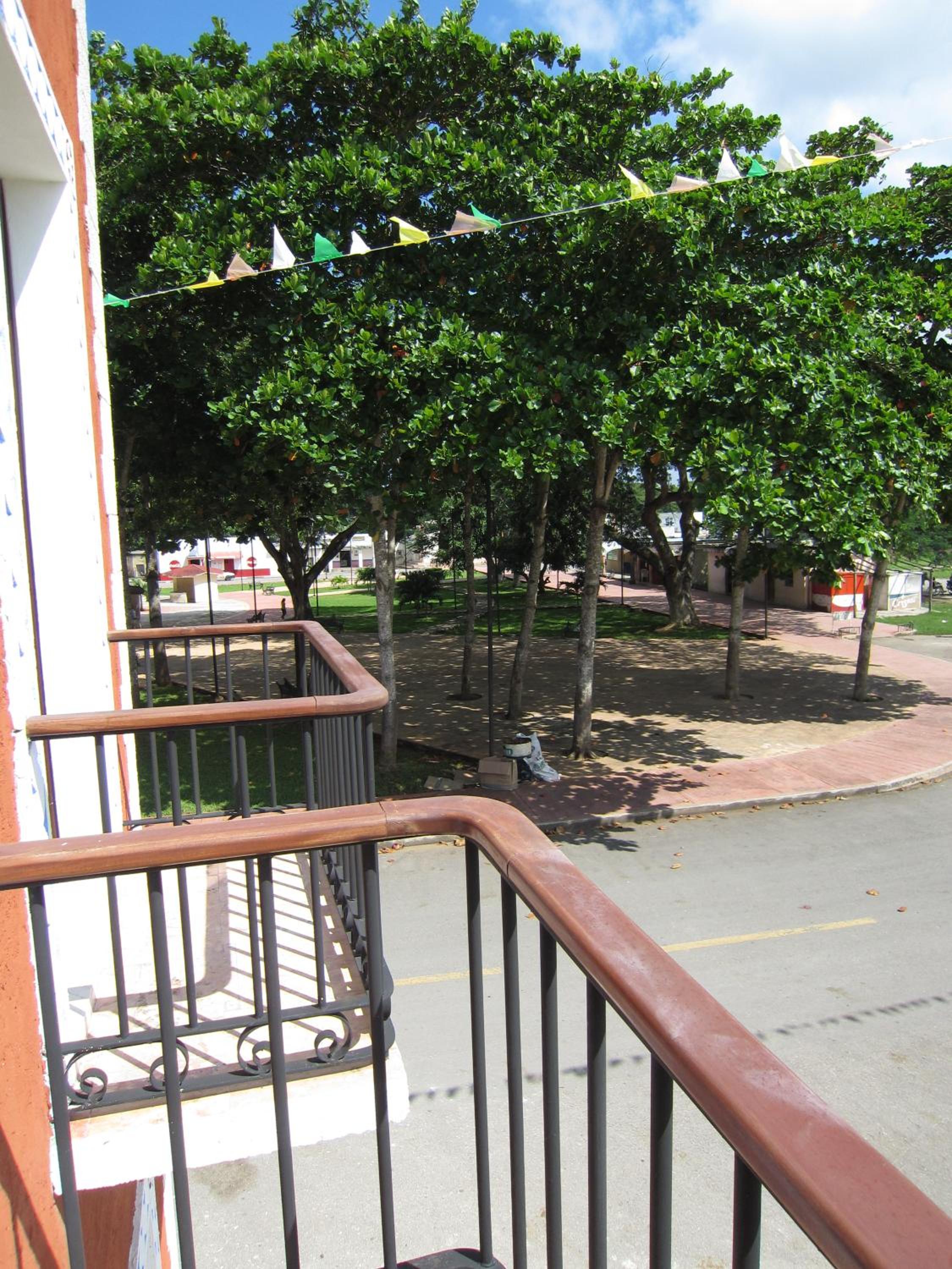 Photo 42