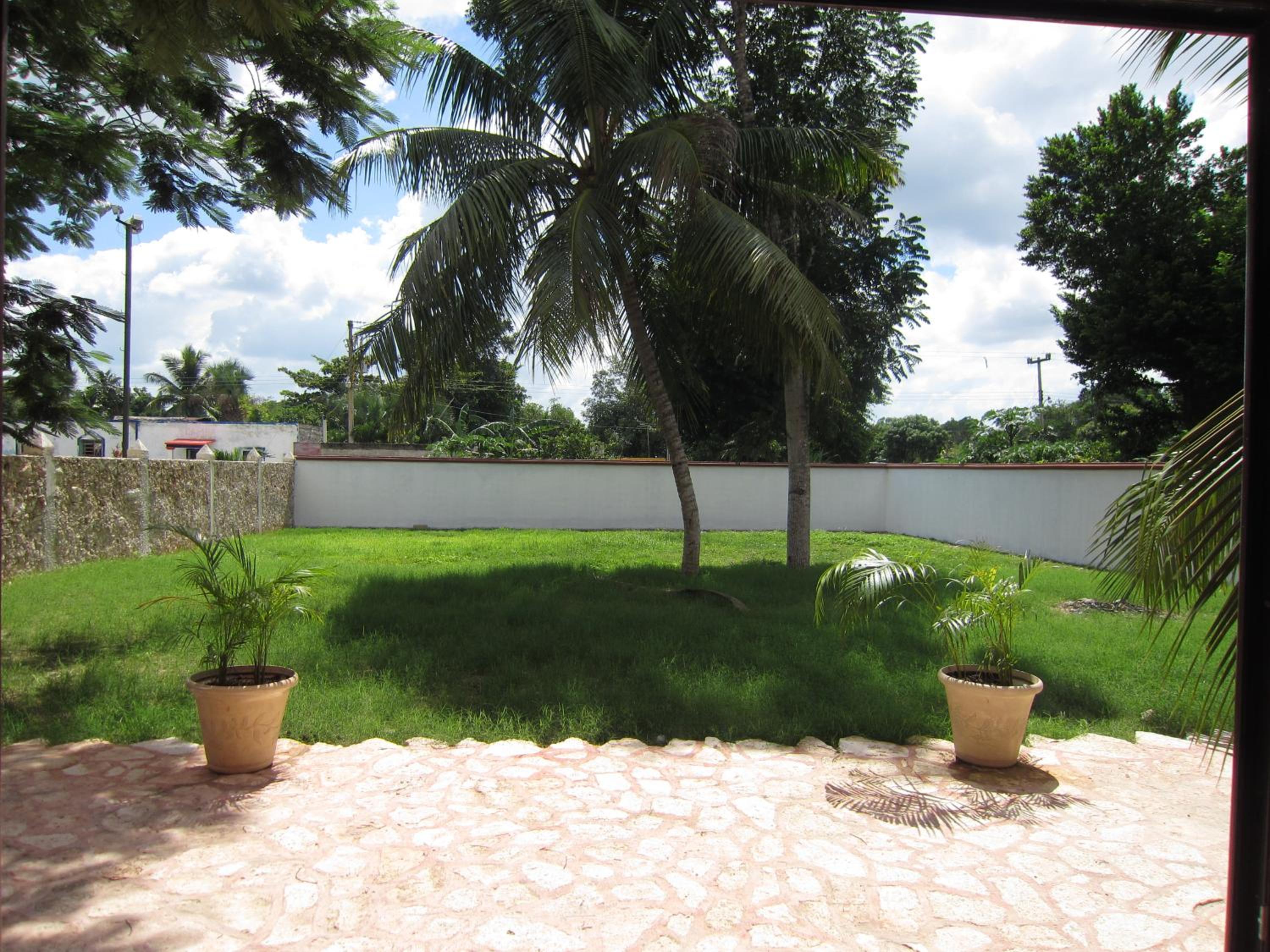 Photo 44