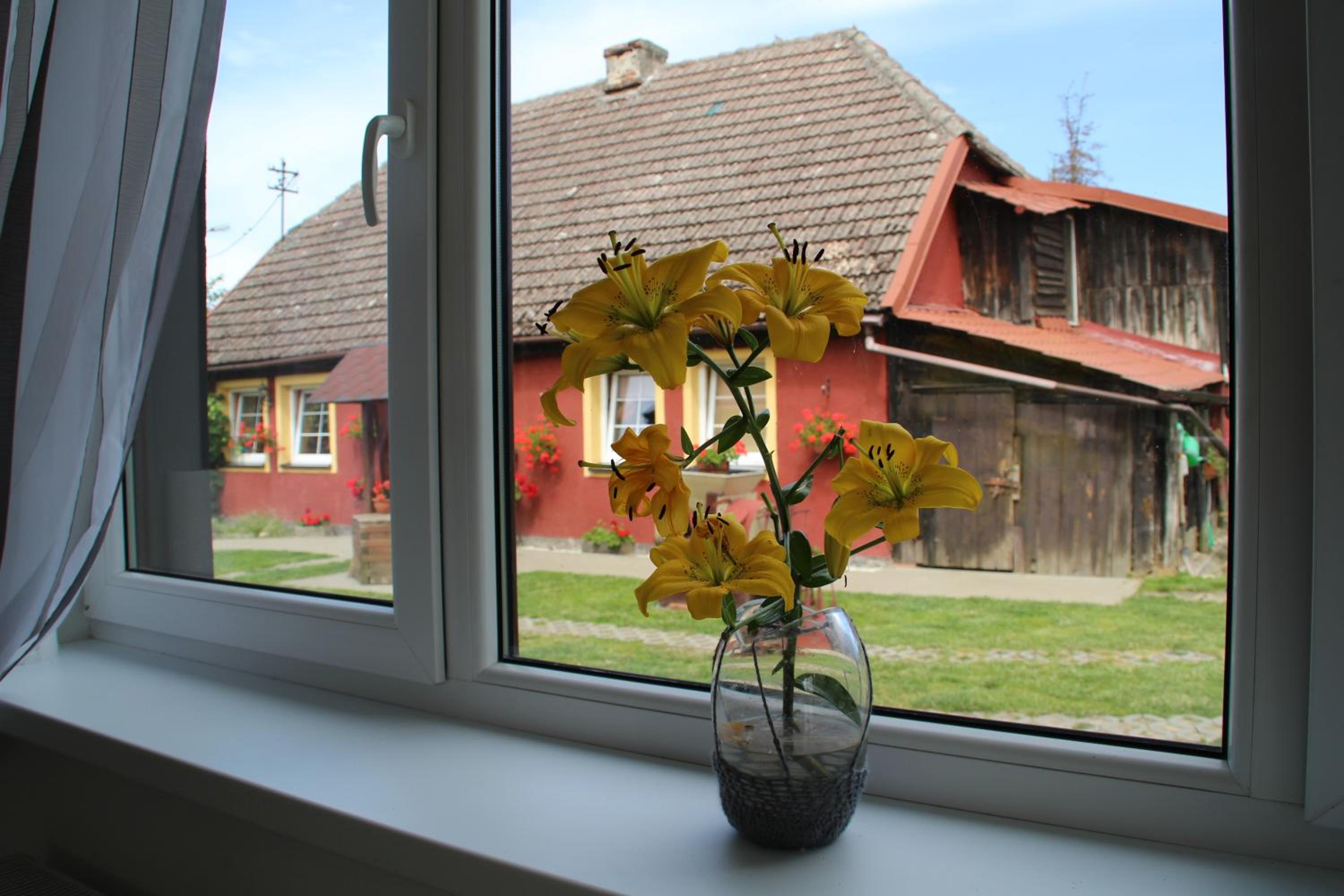 Photo 35