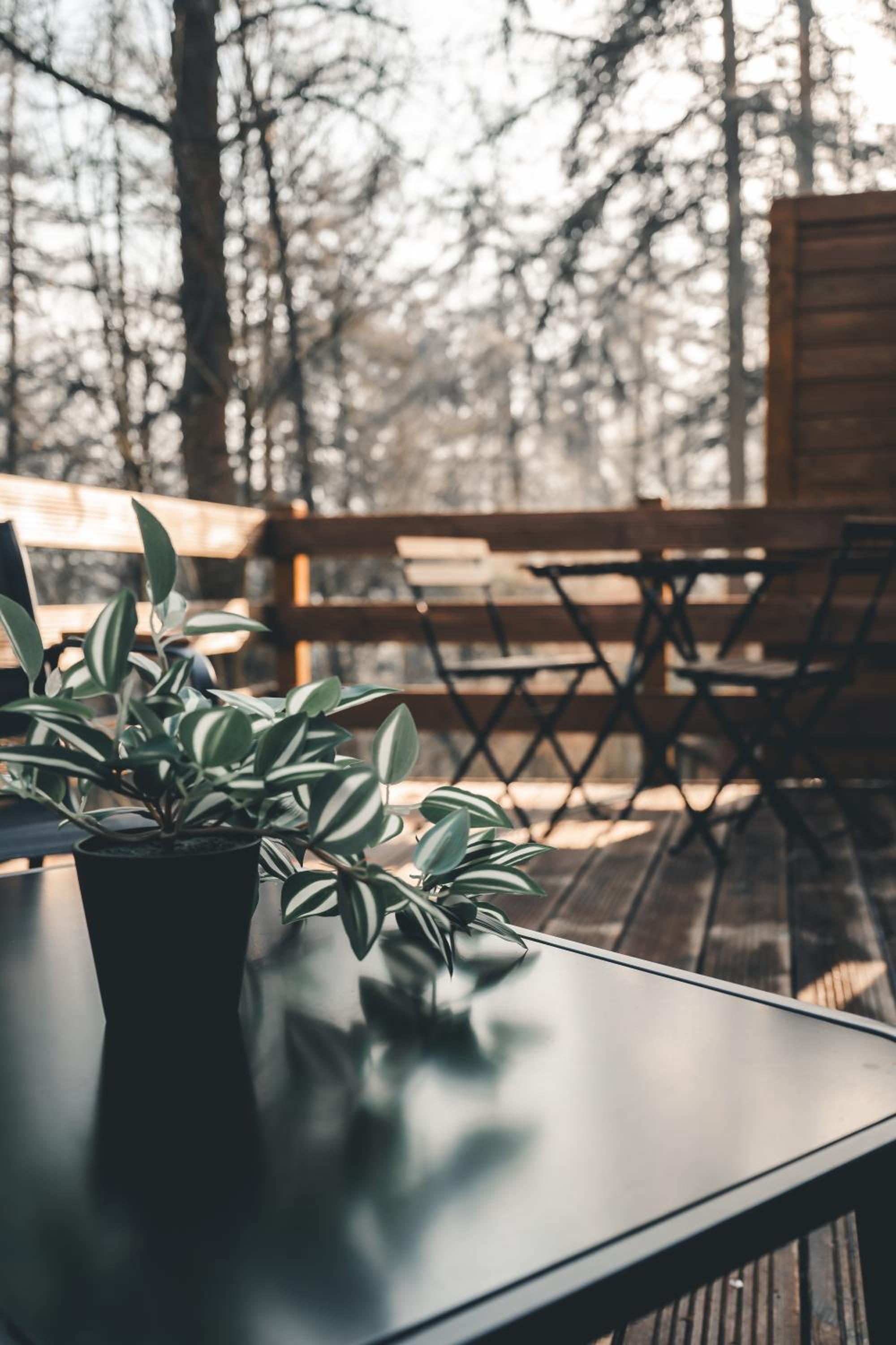 Cosy Wood