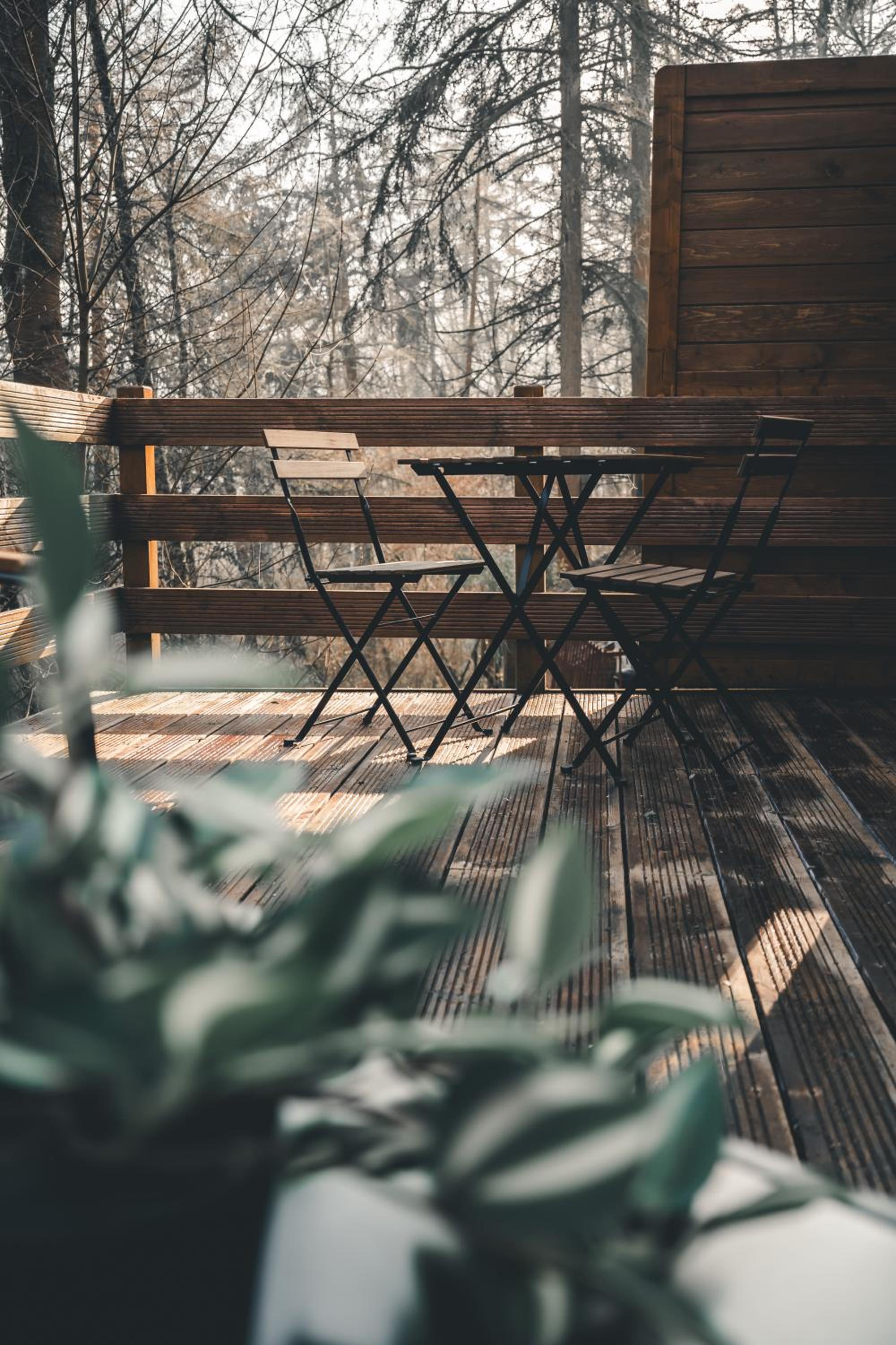 Cosy Wood