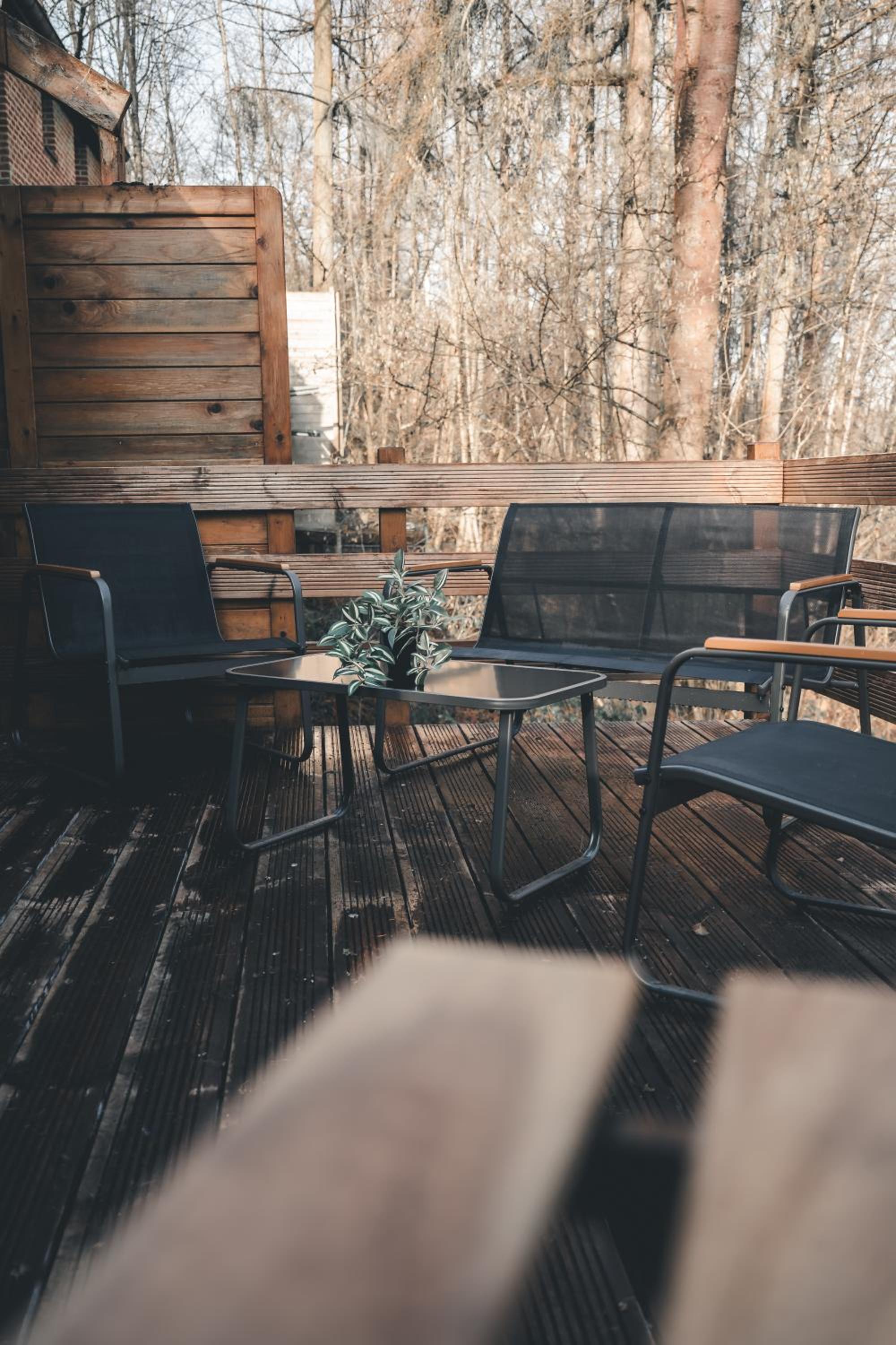 Cosy Wood