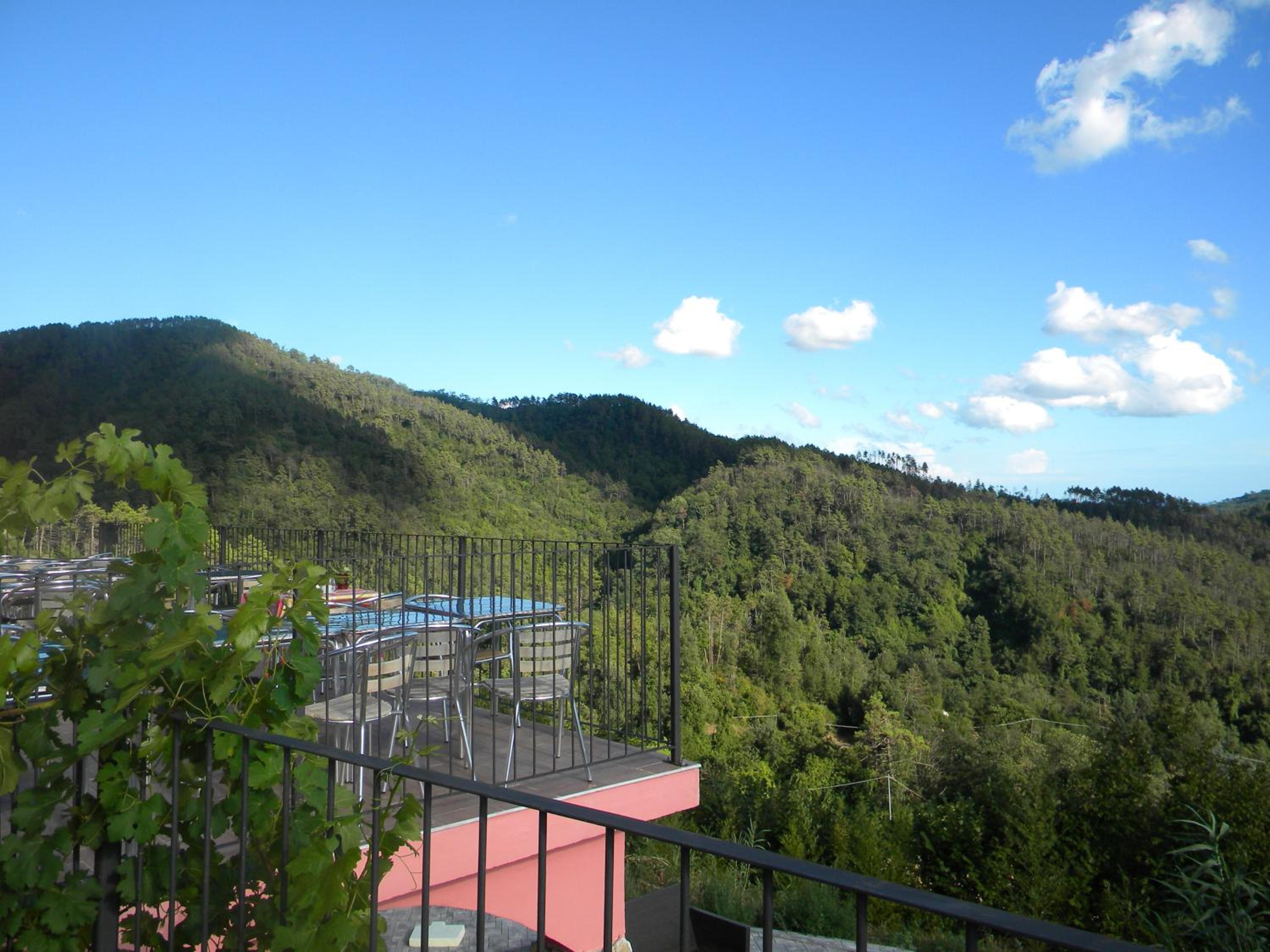 Photo 44