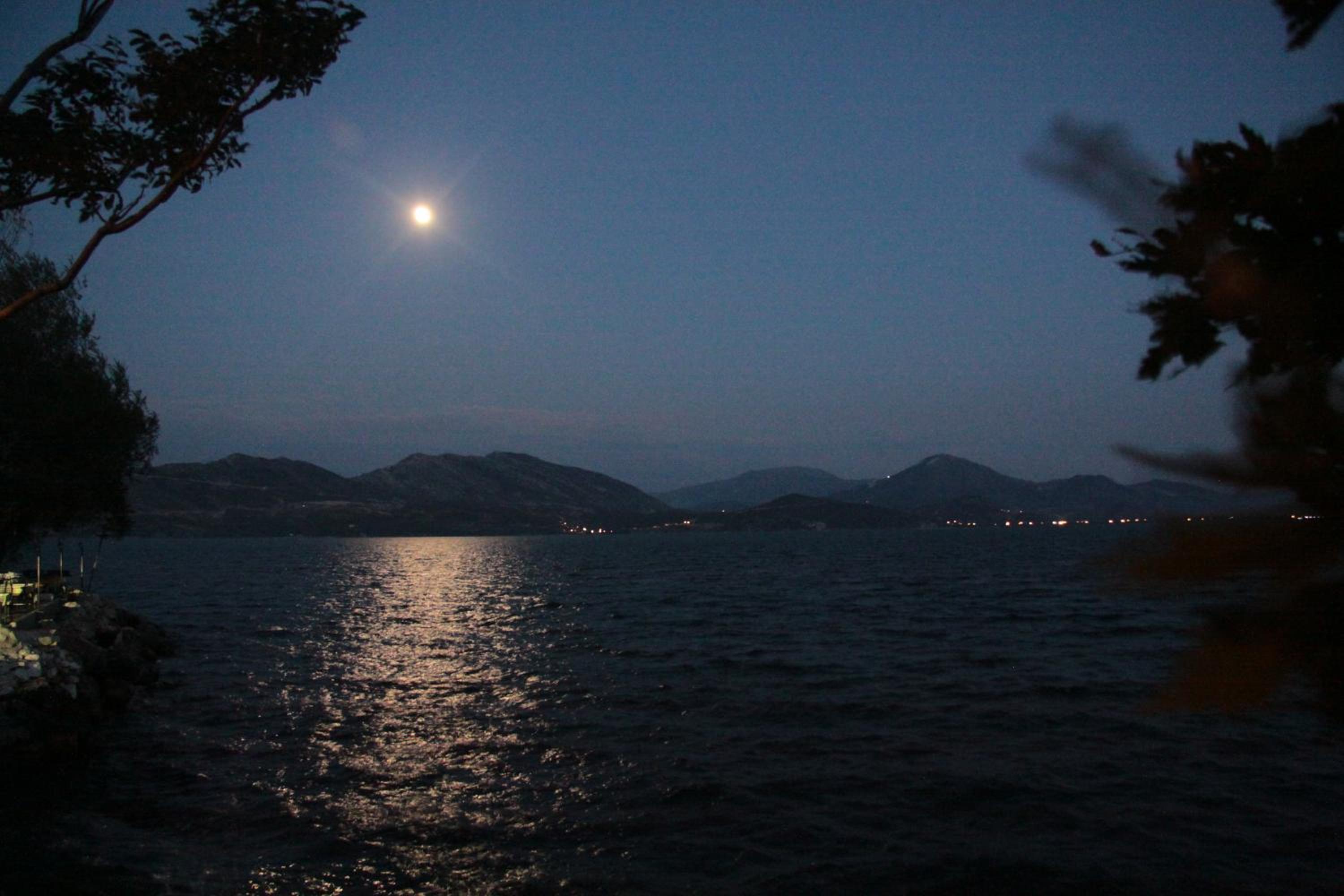 Photo 41