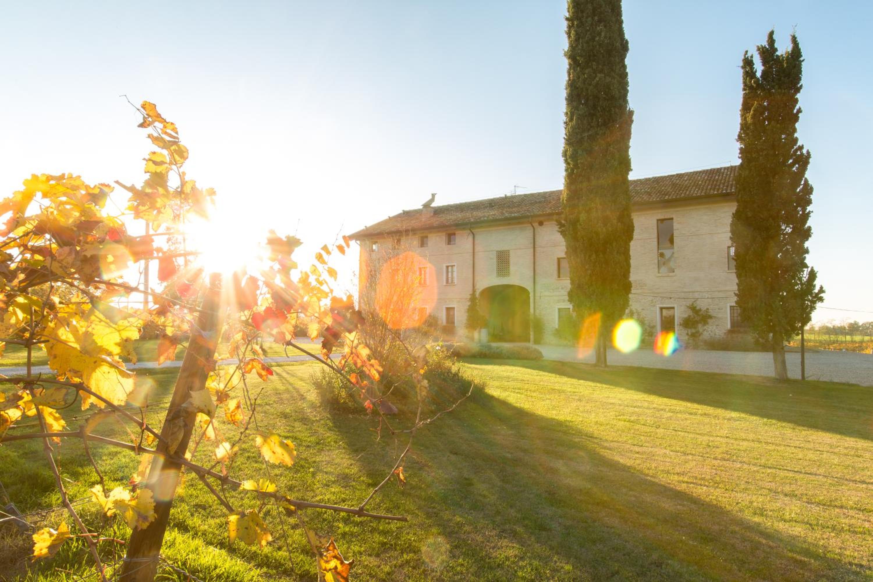 VERDENOCE Agriturismo view 5