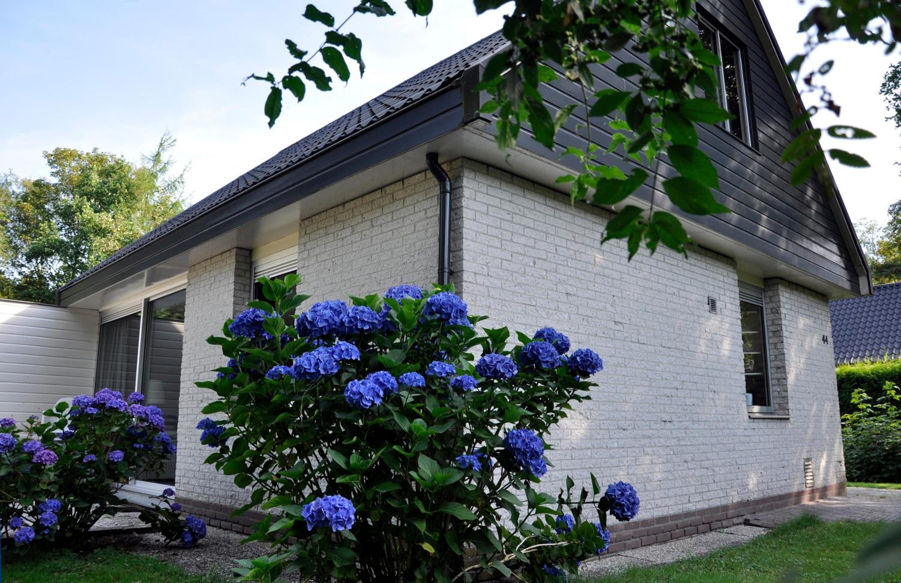 Vakantiepark Bosmeer Friesland