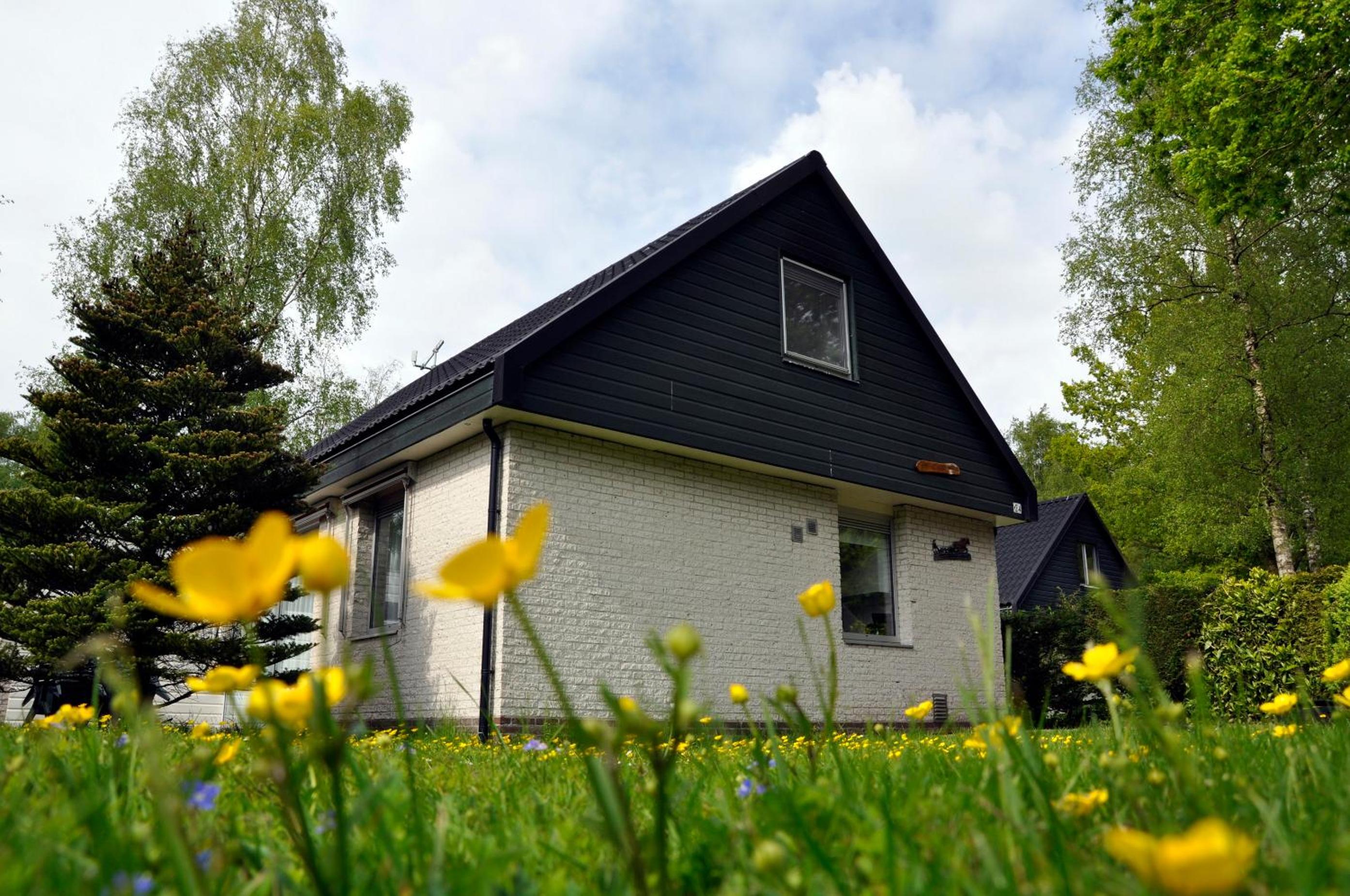Vakantiepark Bosmeer Friesland
