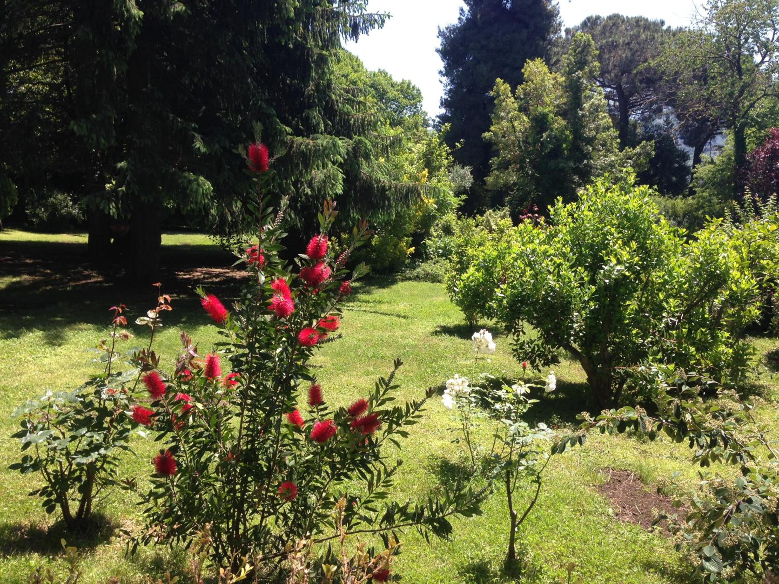 Villa Abbamer
