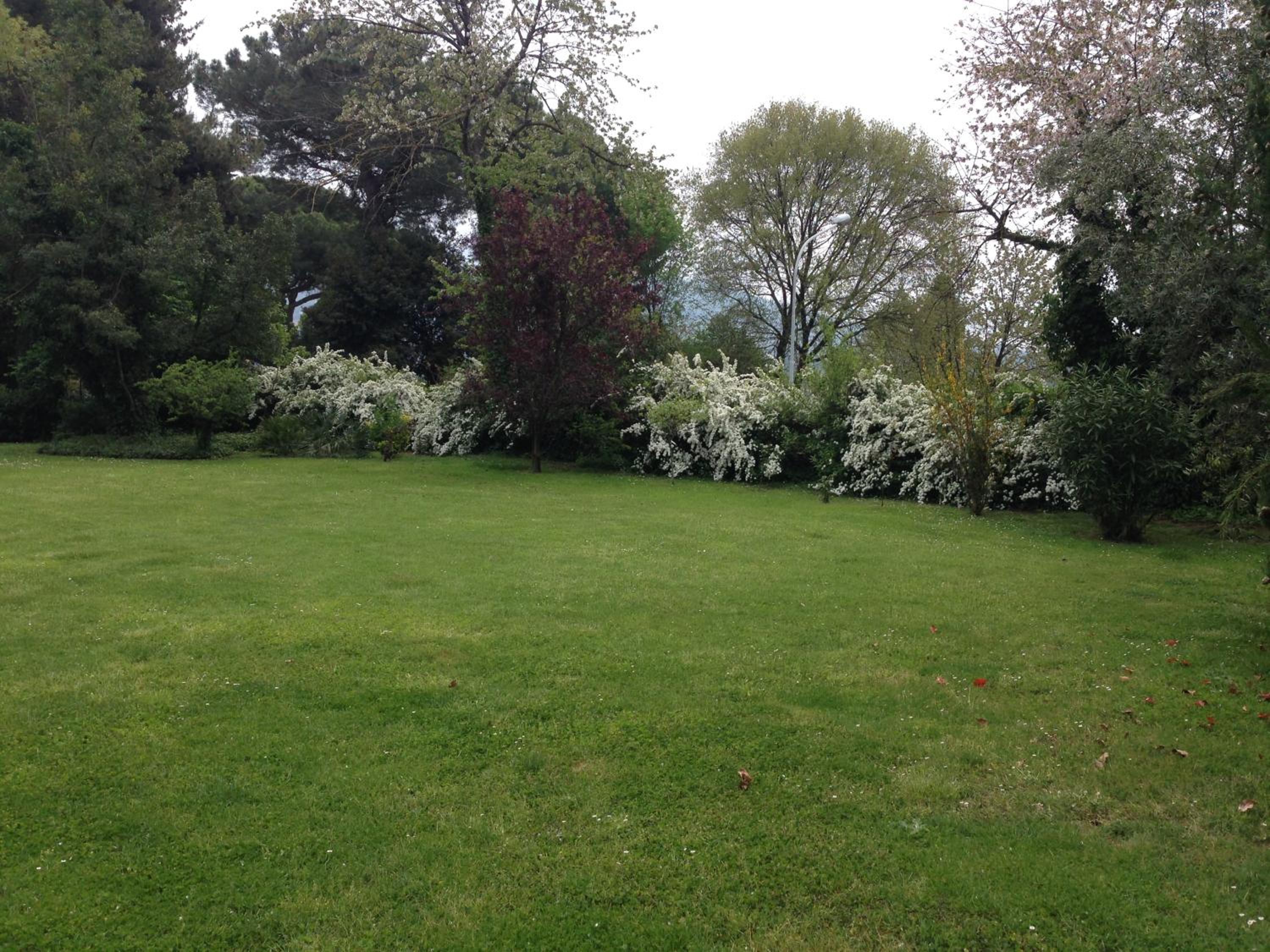 Villa Abbamer, photo 89