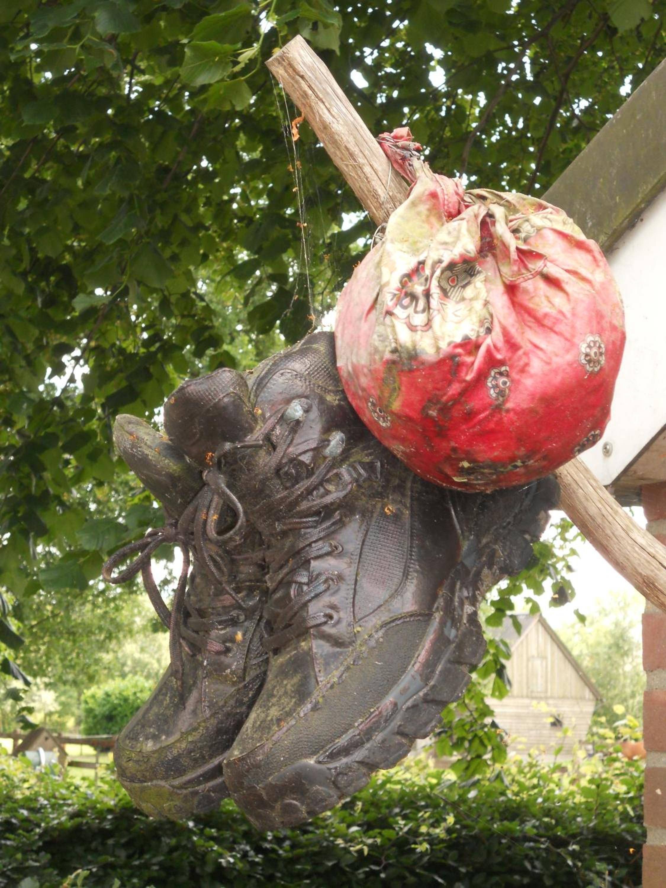 Gezond Boeren Verstand