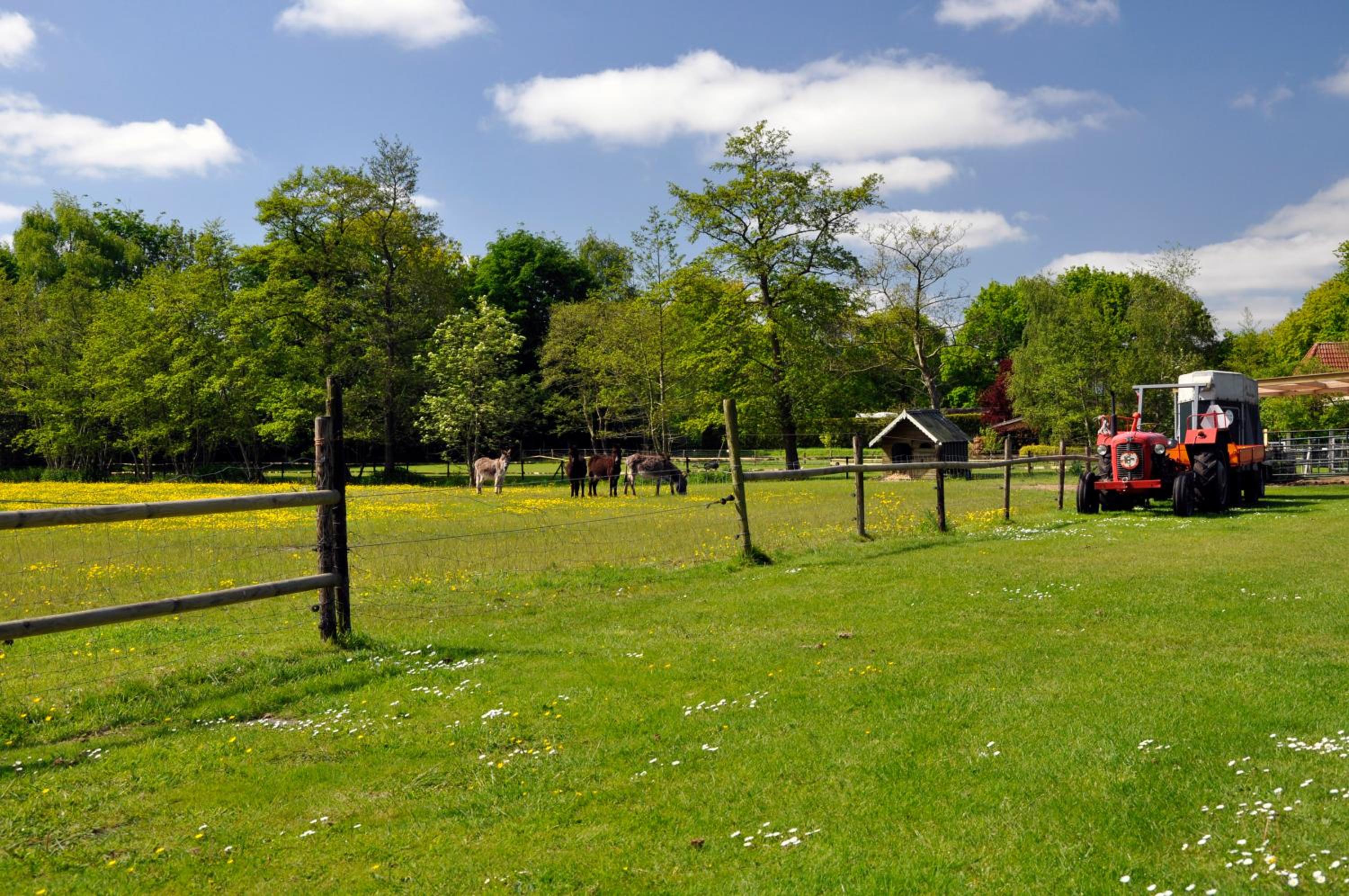 Vakantiepark Bosmeer Friesland