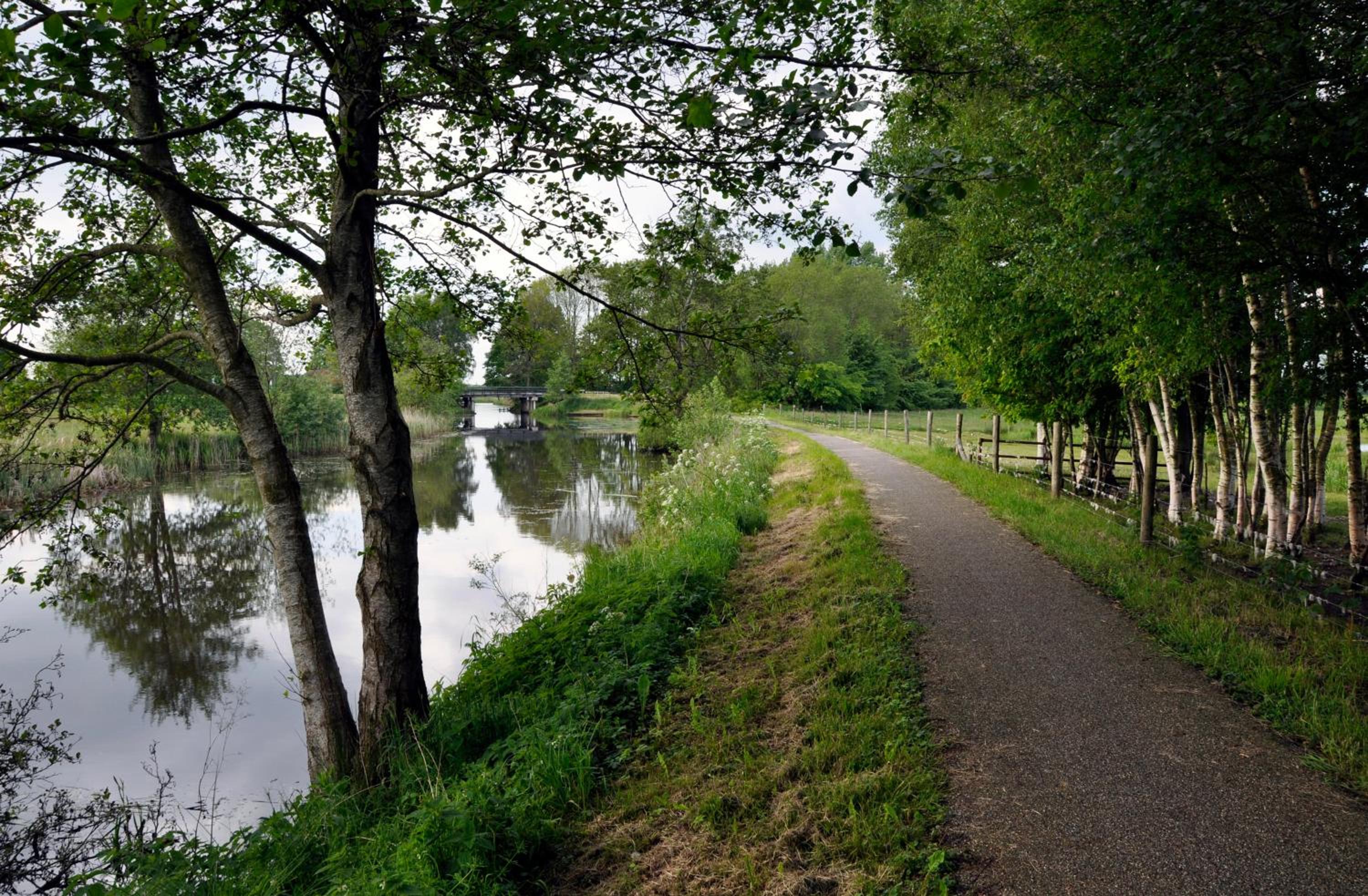 Vakantiepark Bosmeer Friesland