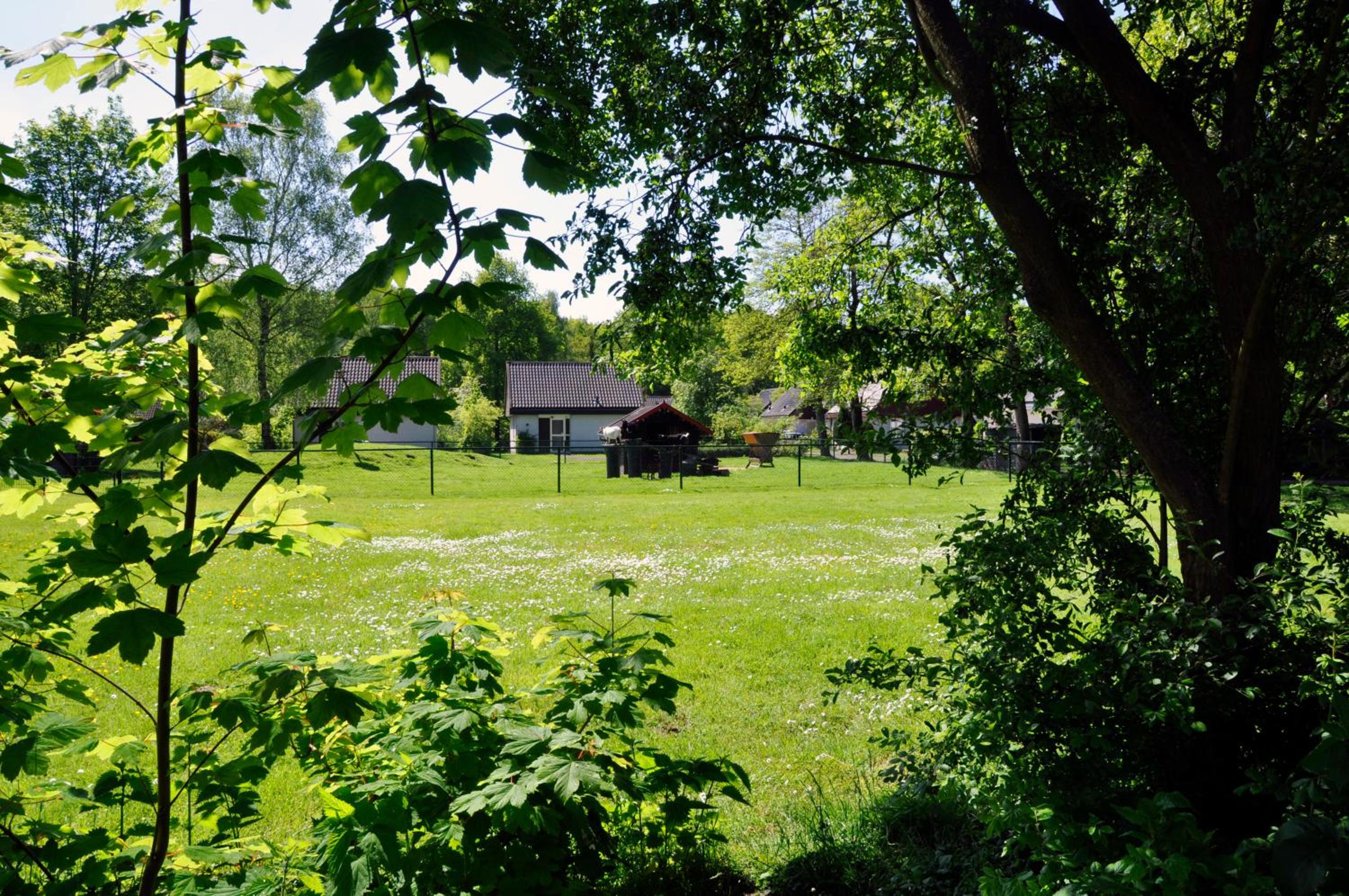 Vakantiepark Bosmeer Friesland