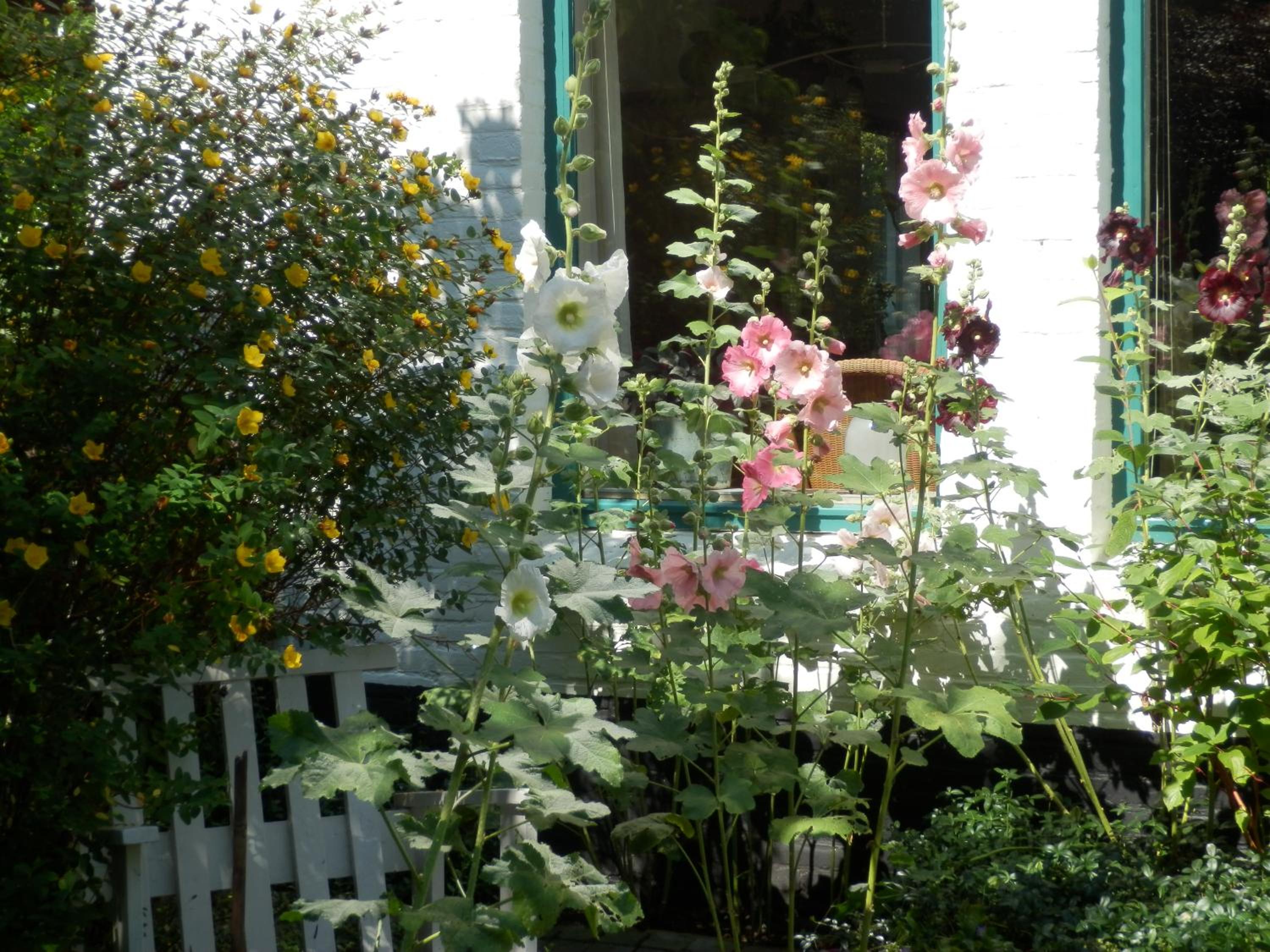 Overbosch - Property Image 10