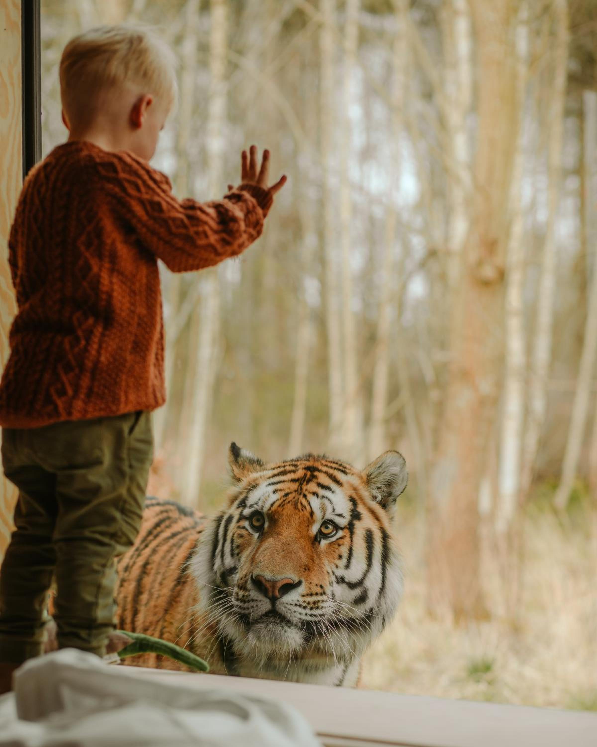 Knuthenborg Safaripark