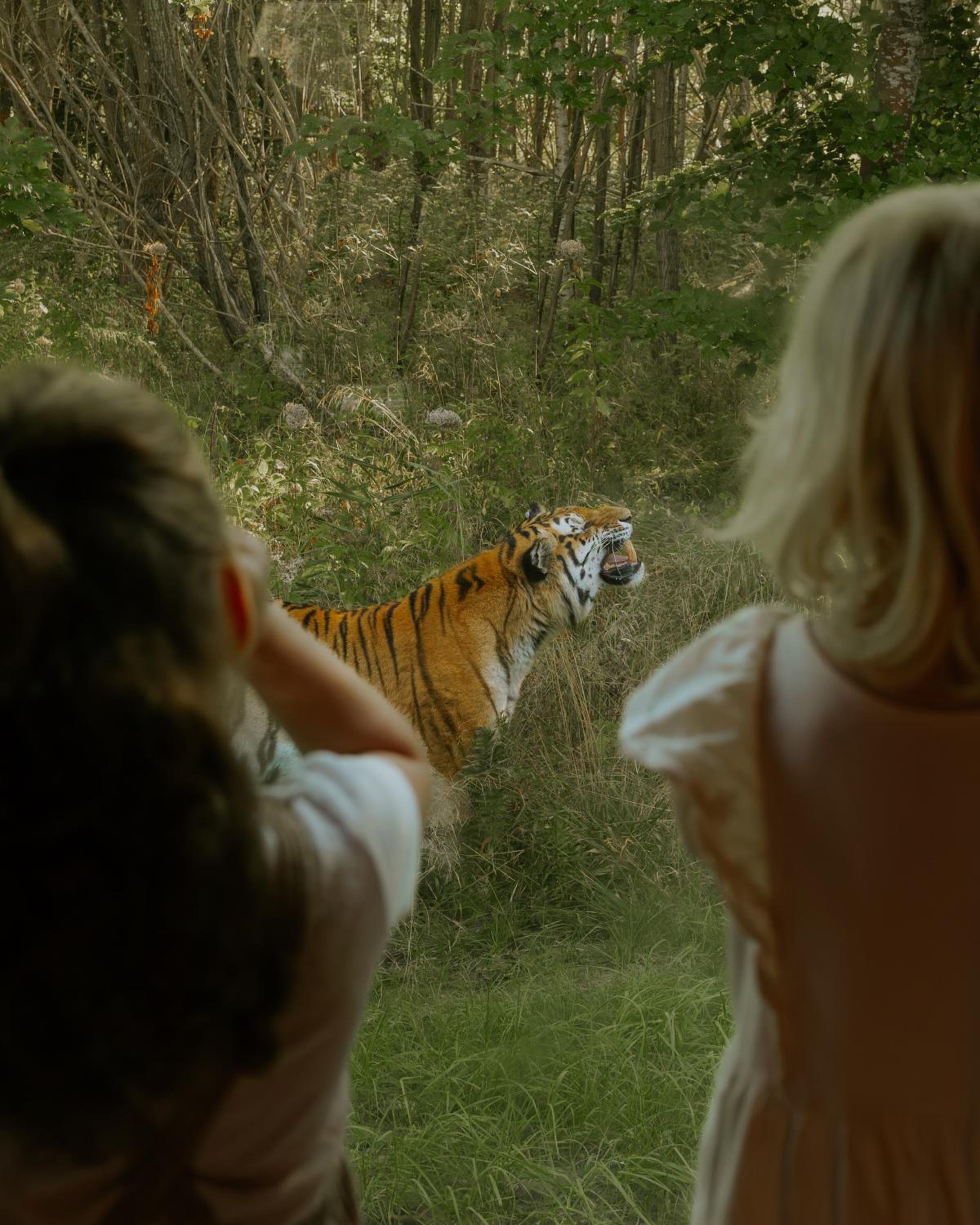 Knuthenborg Safaripark