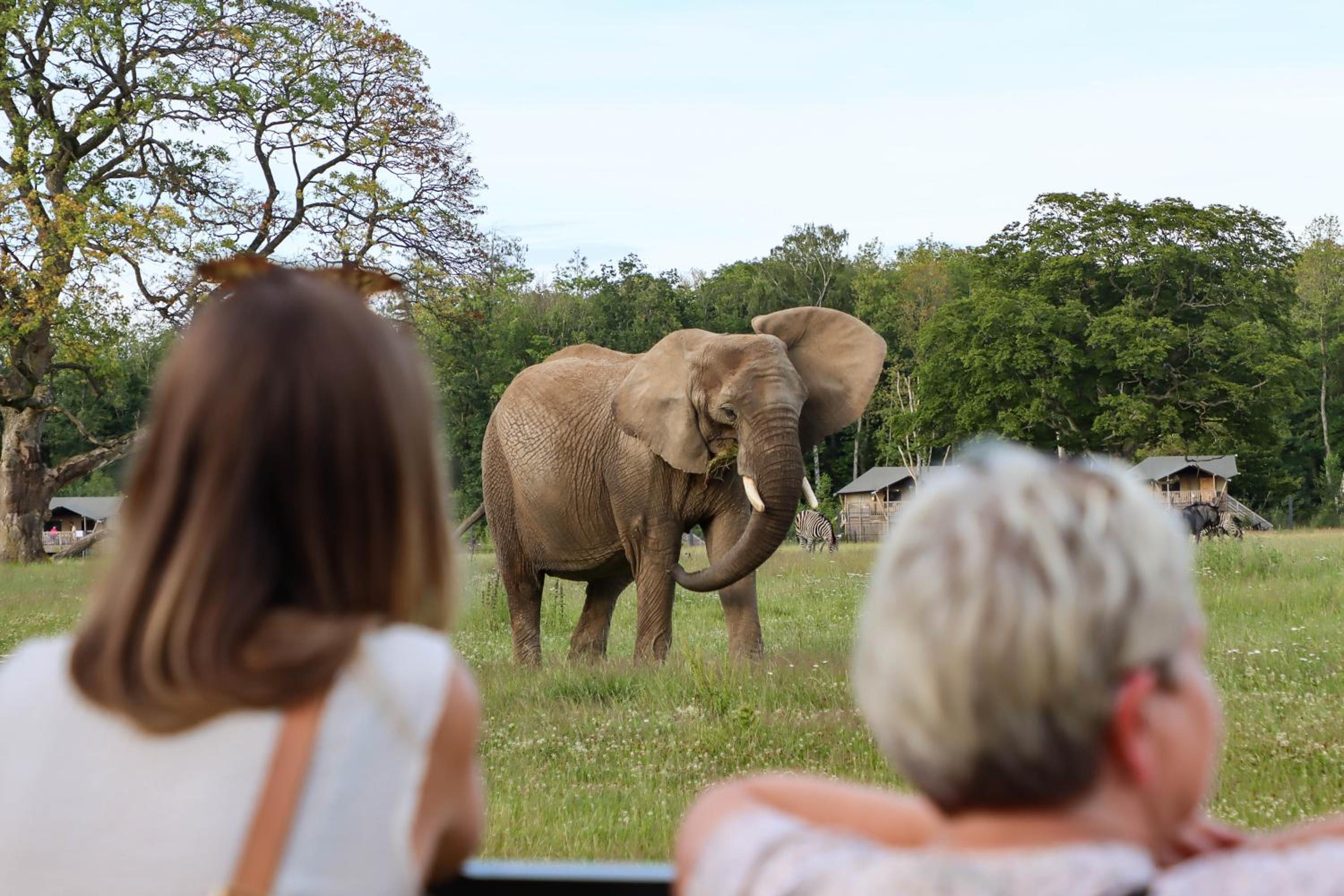 Knuthenborg Safaripark