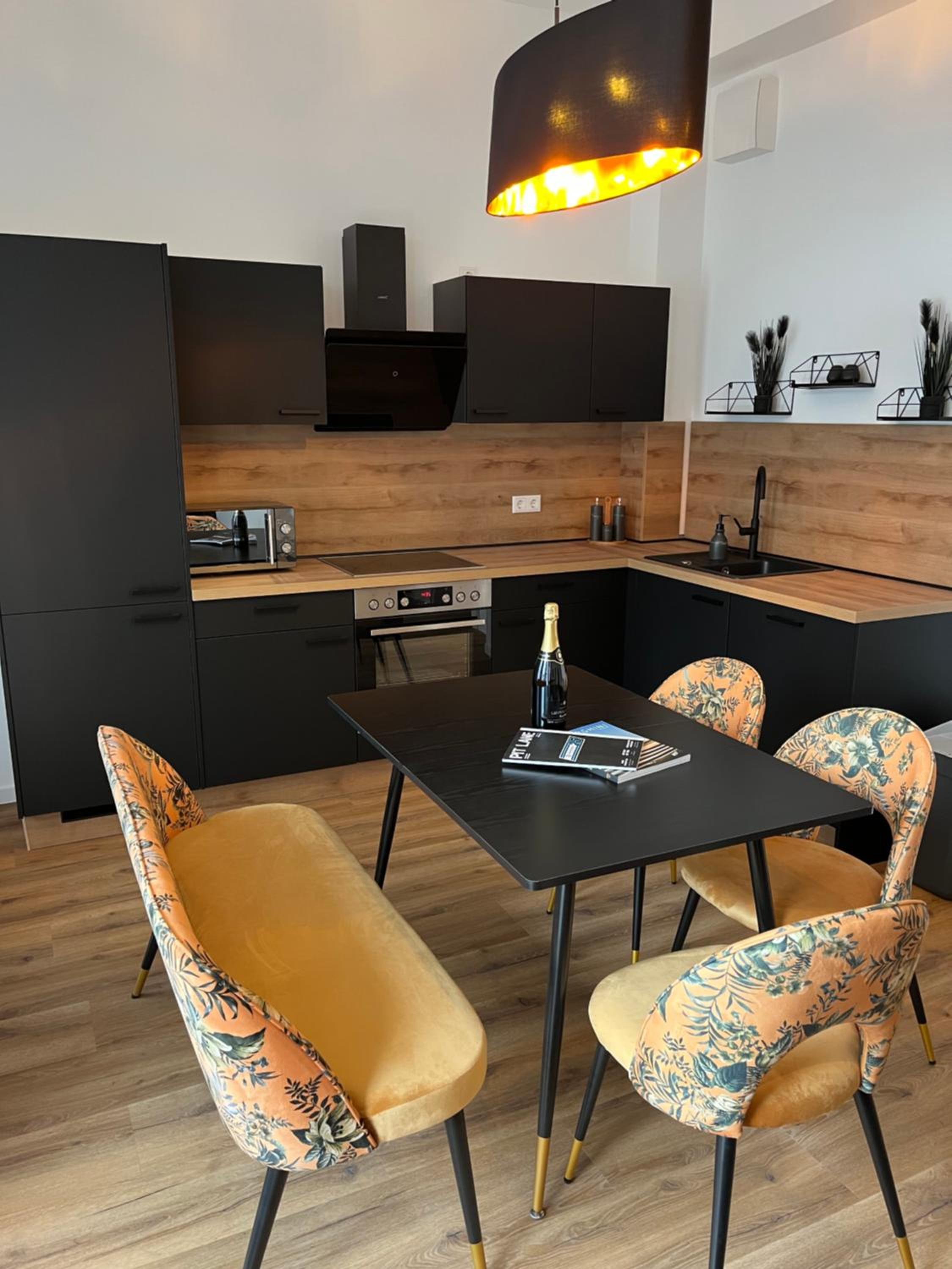 ANER2 STYLISCHE Ferienwohnung mit Sauna in Dresden Weißer Hirsch