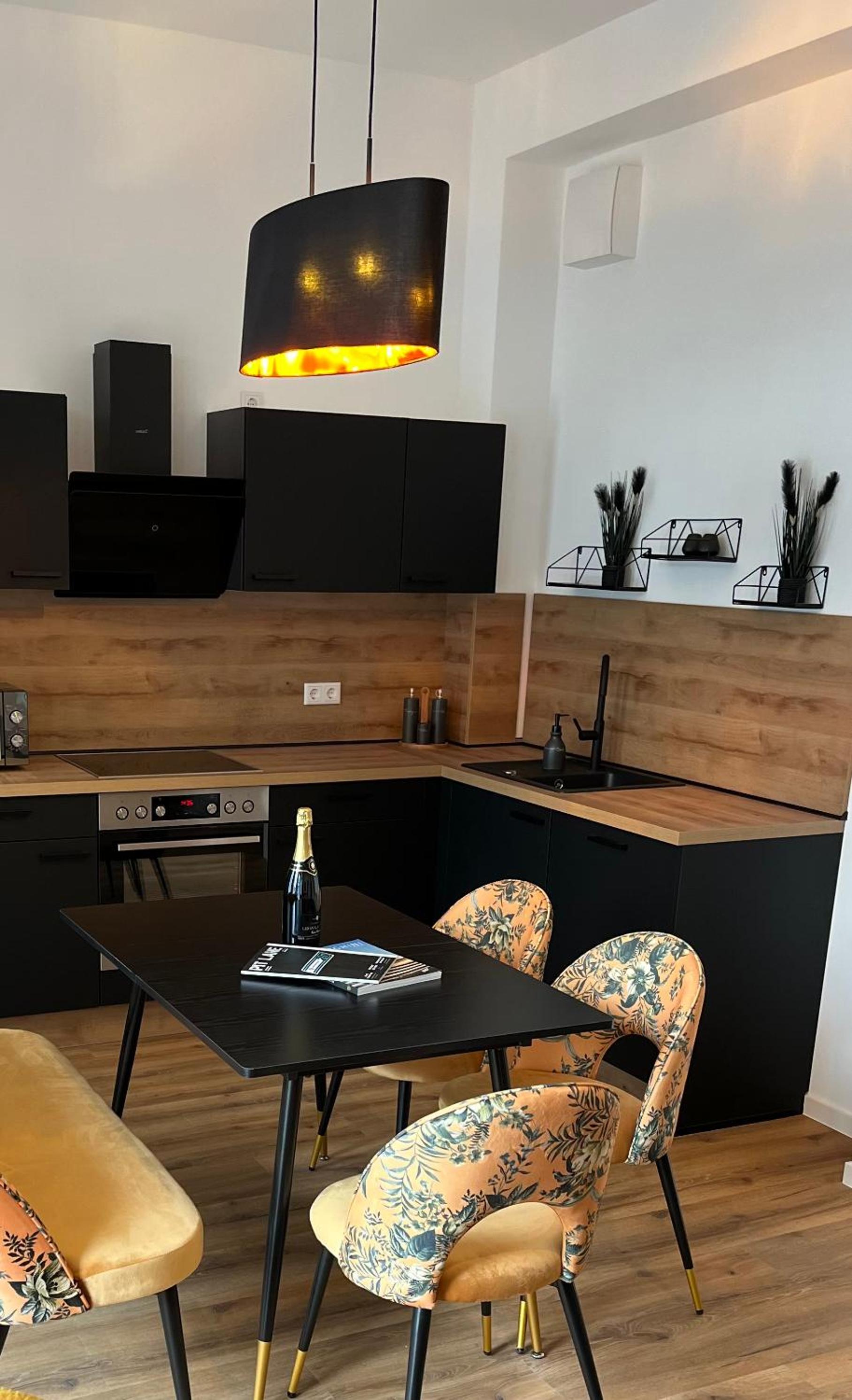 ANER2 STYLISCHE Ferienwohnung mit Sauna in Dresden Weißer Hirsch