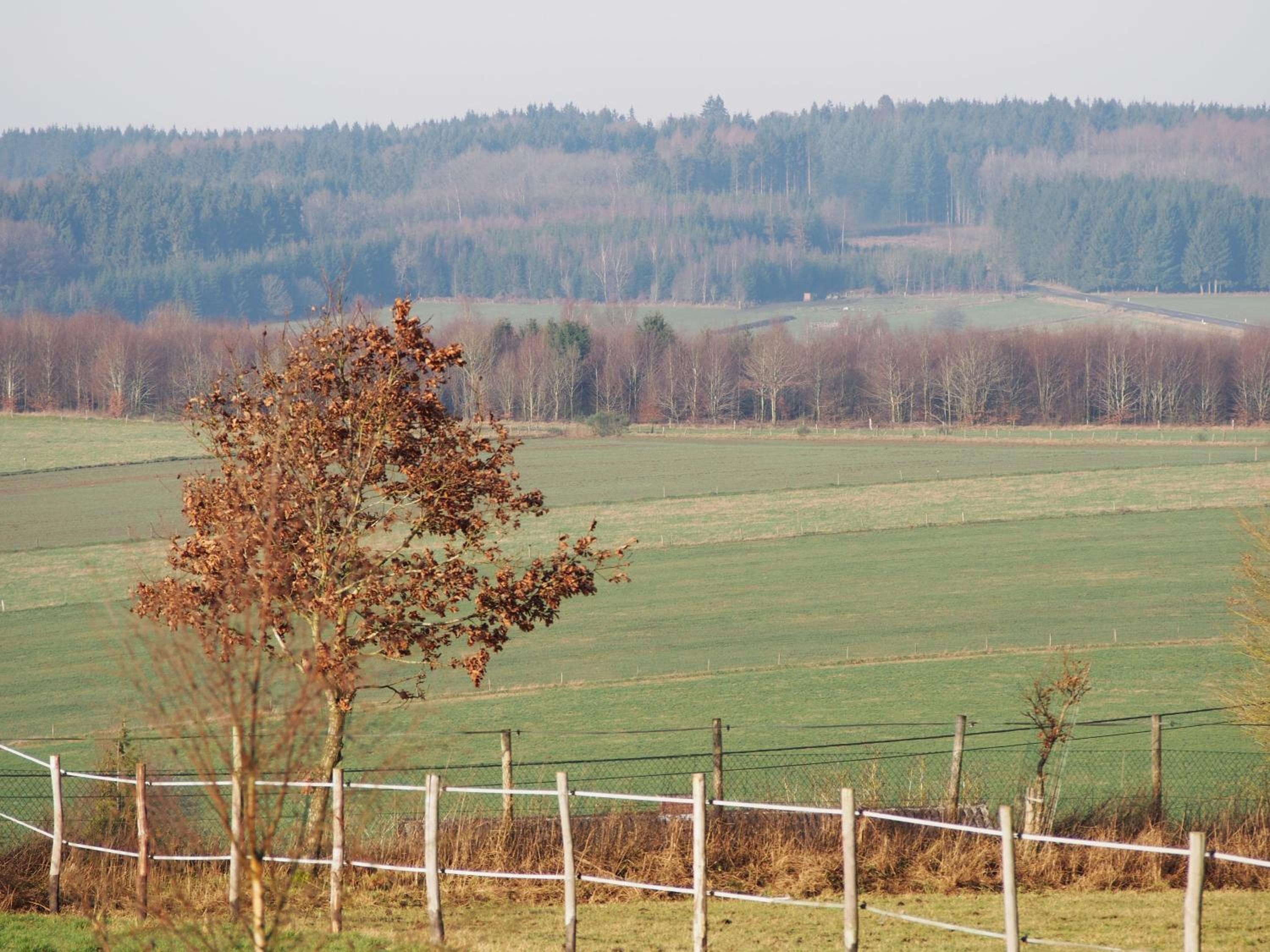 B&B La Chabetaine
