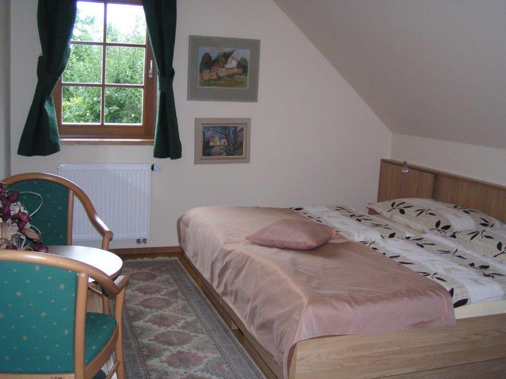 Apartment 53 Zvíkovské Podhradí view 5