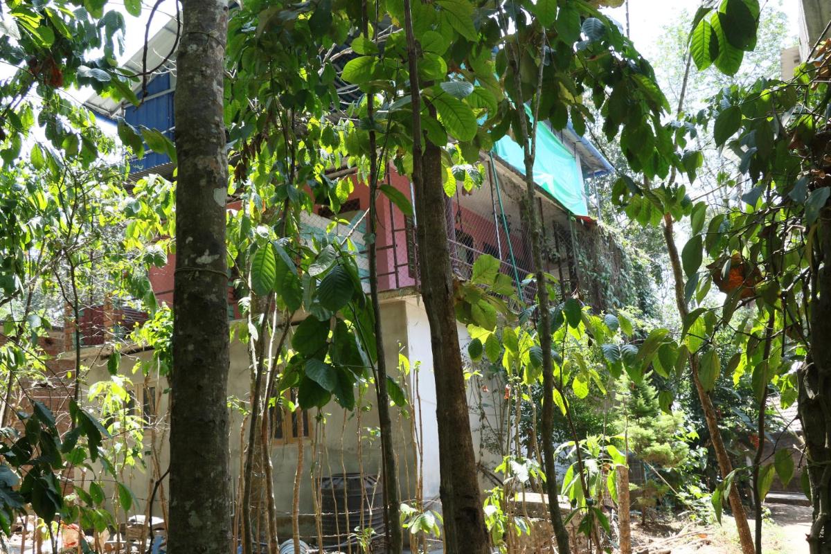 Thekkady Vacations - Jungleparadiso Homestay - Property Image 9