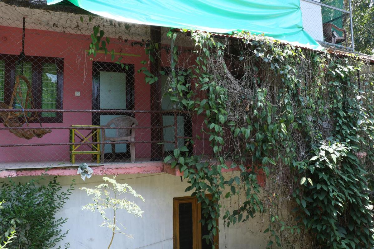 Thekkady Vacations - Jungleparadiso Homestay - Property Image 15