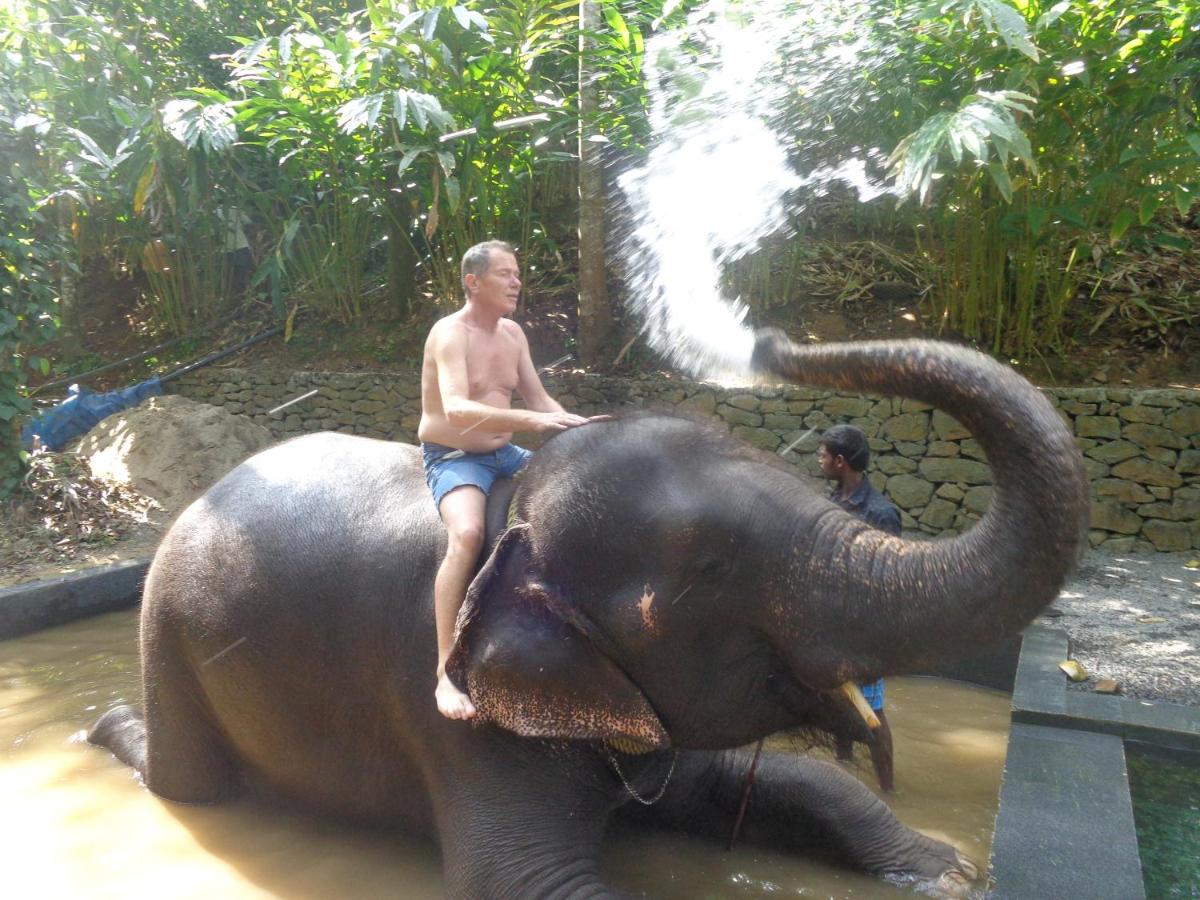 Thekkady Vacations - Jungleparadiso Homestay - Property Image 13